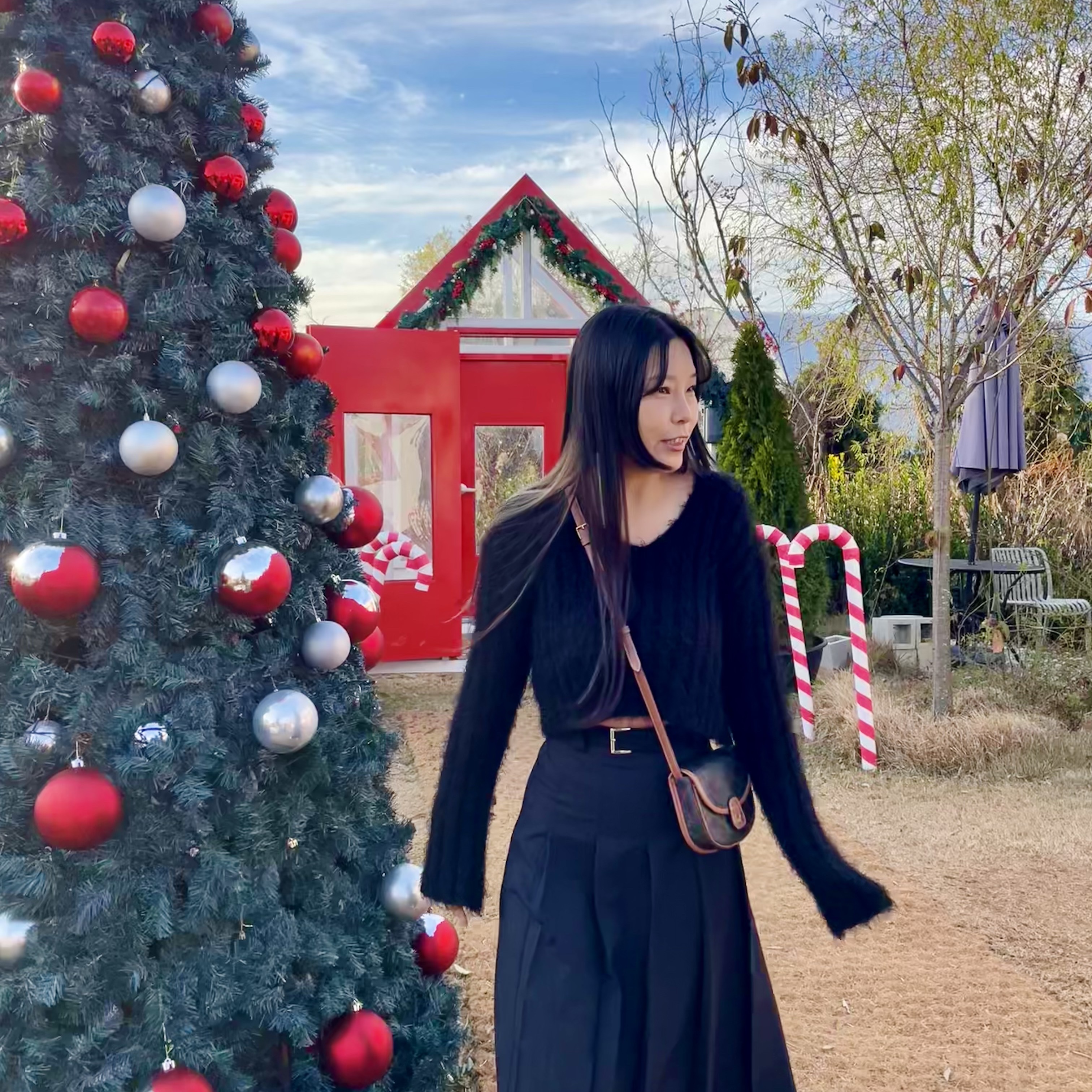 Celine Mini Besace in Triomphe Canvas and Calfskin Tan 착용 스타일