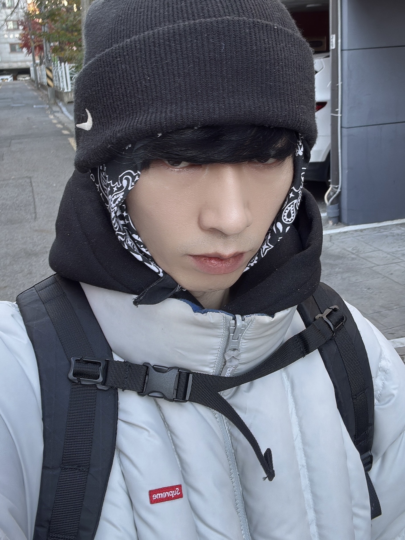 Supreme Flannel Reversible Puffer Jacket Grey - 22FW, Supreme Backpack Black - 23FW 착용 스타일 - 1