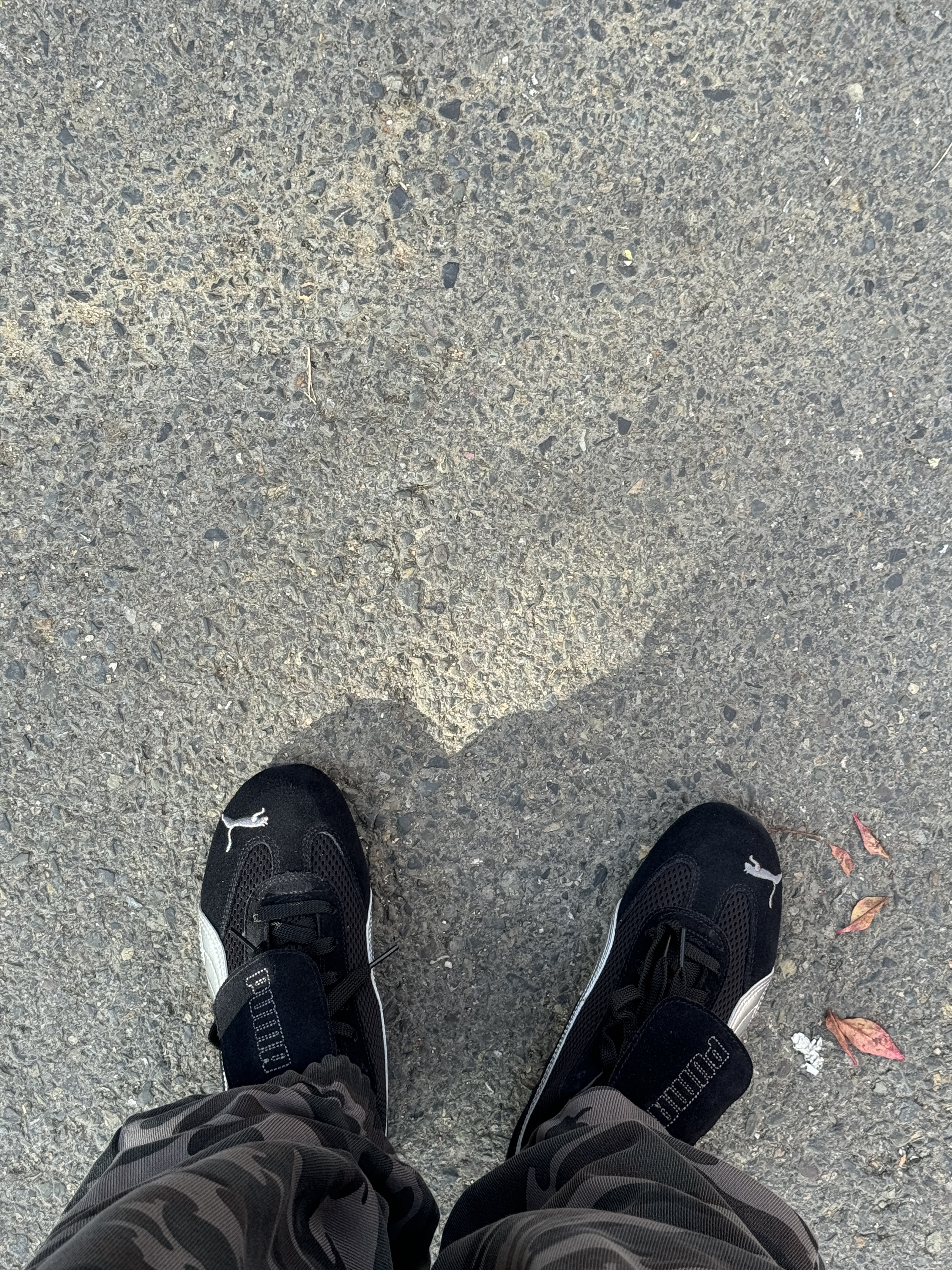 Puma x Open Yy Speedcat Black Shadow Gray 착용 스타일