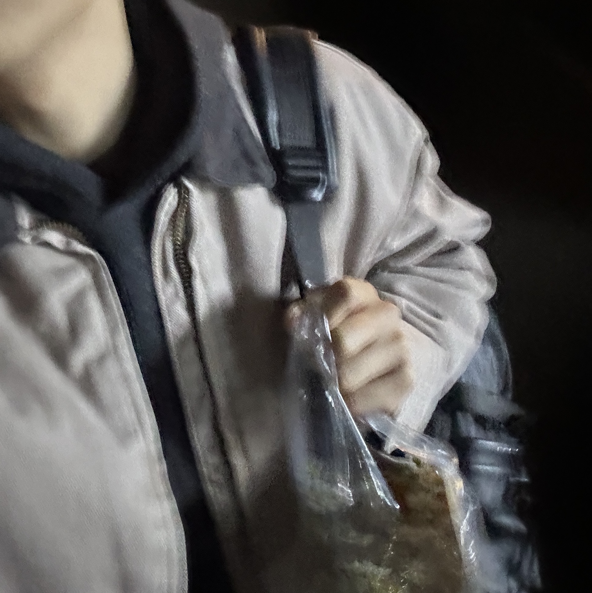Carhartt WIP Organic Cotton Dearborn Canvas OG Detroit Jacket Dusty Hamilton Brown Aged Canvas - Winter 착용 스타일