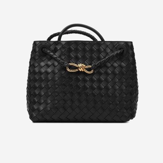 Bottega Veneta Medium Andiamo Black