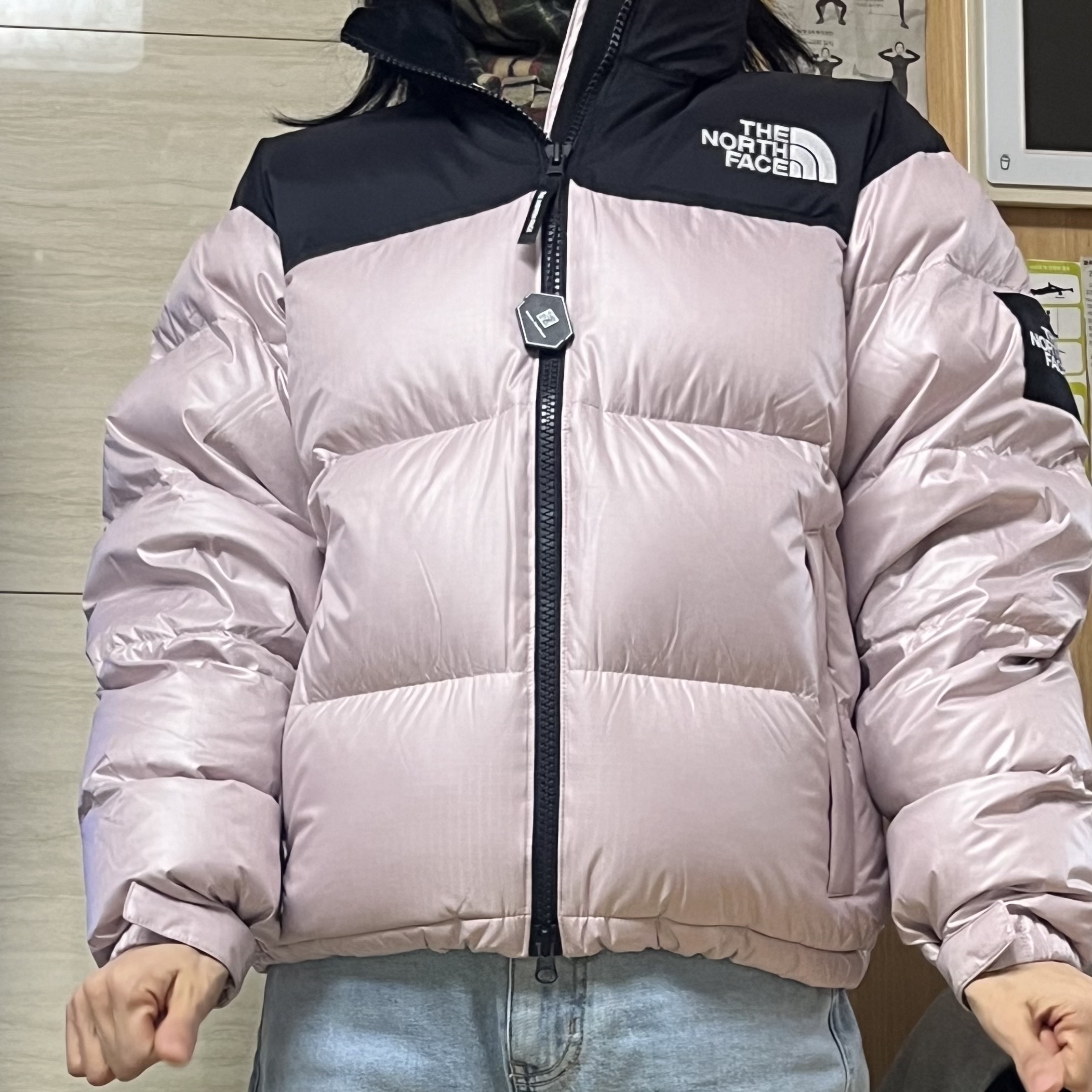The North Face Novelty Nuptse RDS Down Jacket Pale Pink - 24FW 착용 스타일