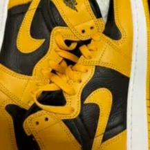 (GS) Jordan 1 Retro High OG Pollen 착용 스타일