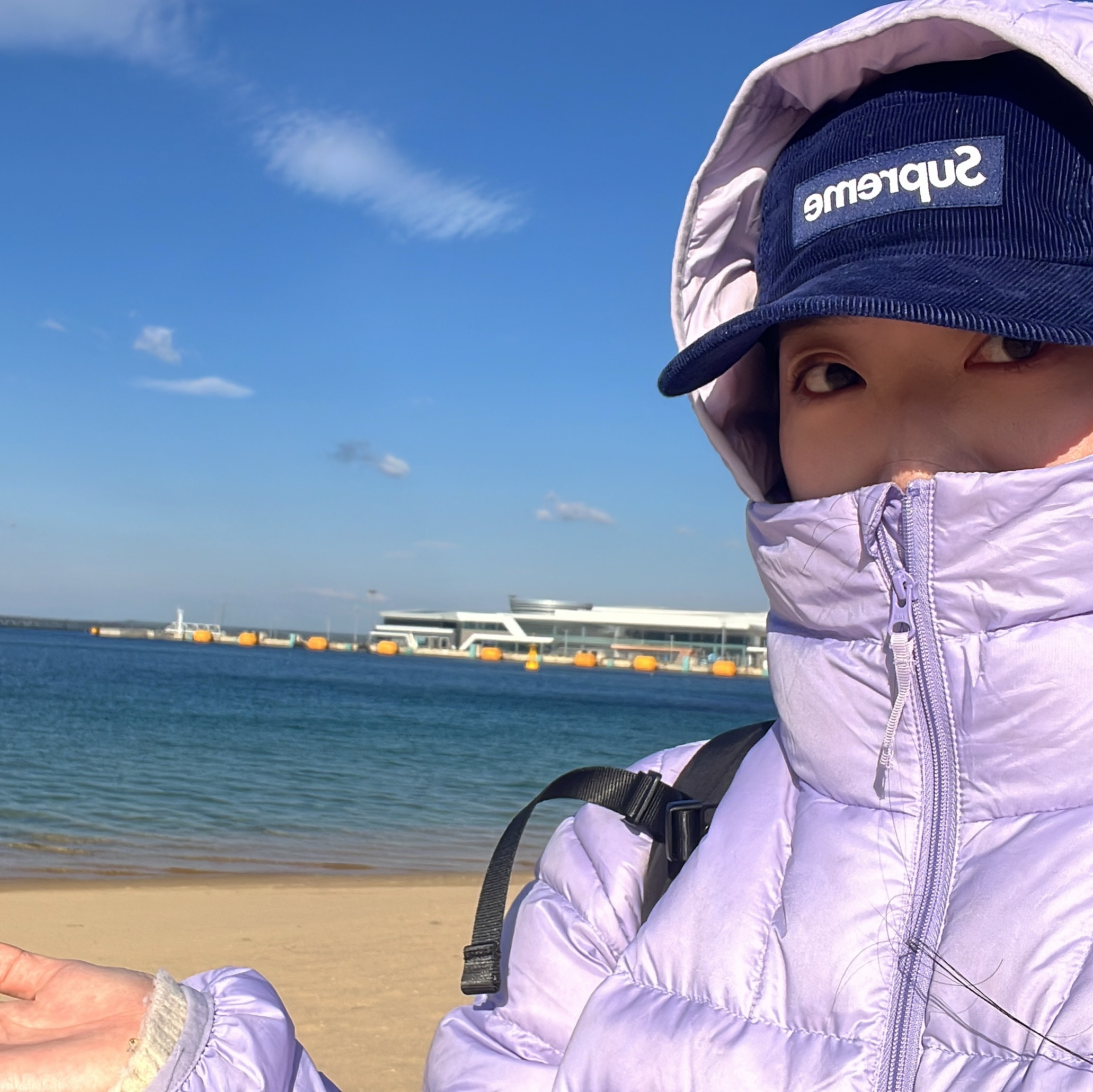 Supreme Micro Down Half Zip Hooded Pullover Lilac - 24FW, Supreme Corduroy Camp Cap Navy - 23FW 착용 스타일 - 2