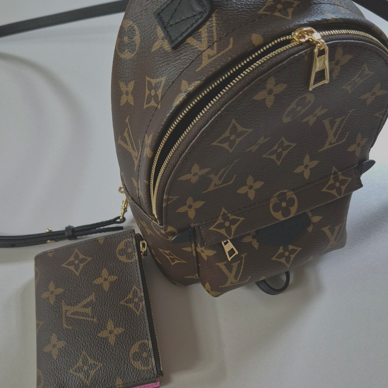 Louis Vuitton Palm Springs Mini Backpack Monogram, Louis Vuitton Lisa Wallet Monogram Rose Lollipop 착용 스타일