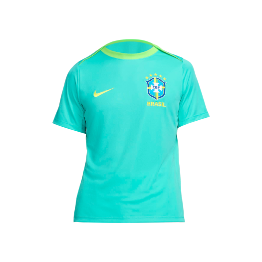 Nike Brazil Academy Pro Dri-Fit Soccer Top Light Retro Action Green - Asia