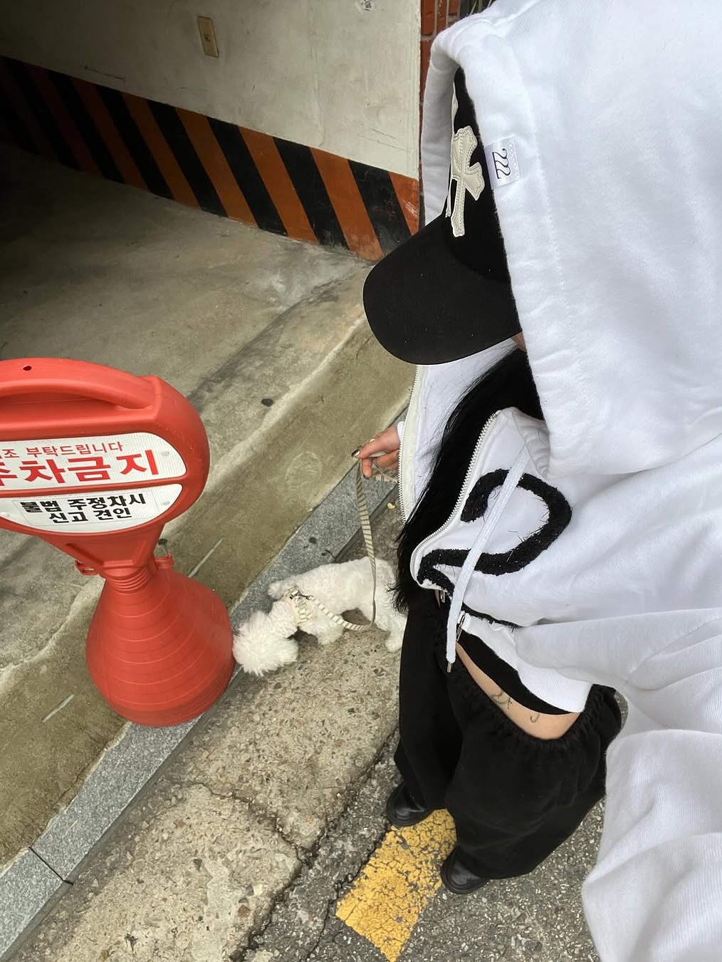 222 Hoodie 002 White, 222 Hoodie 002 Black 착용 스타일