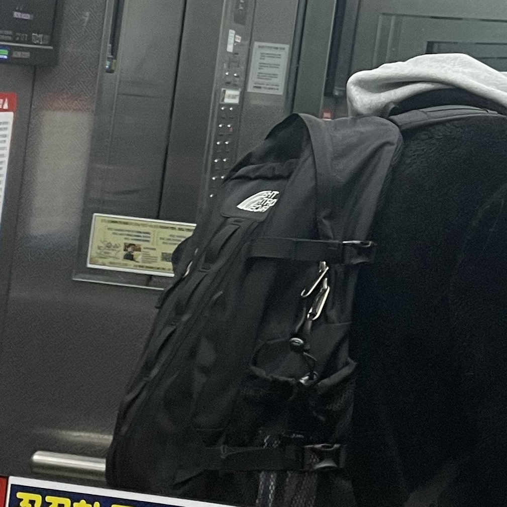 The North Face Big Shot Black 착용 스타일