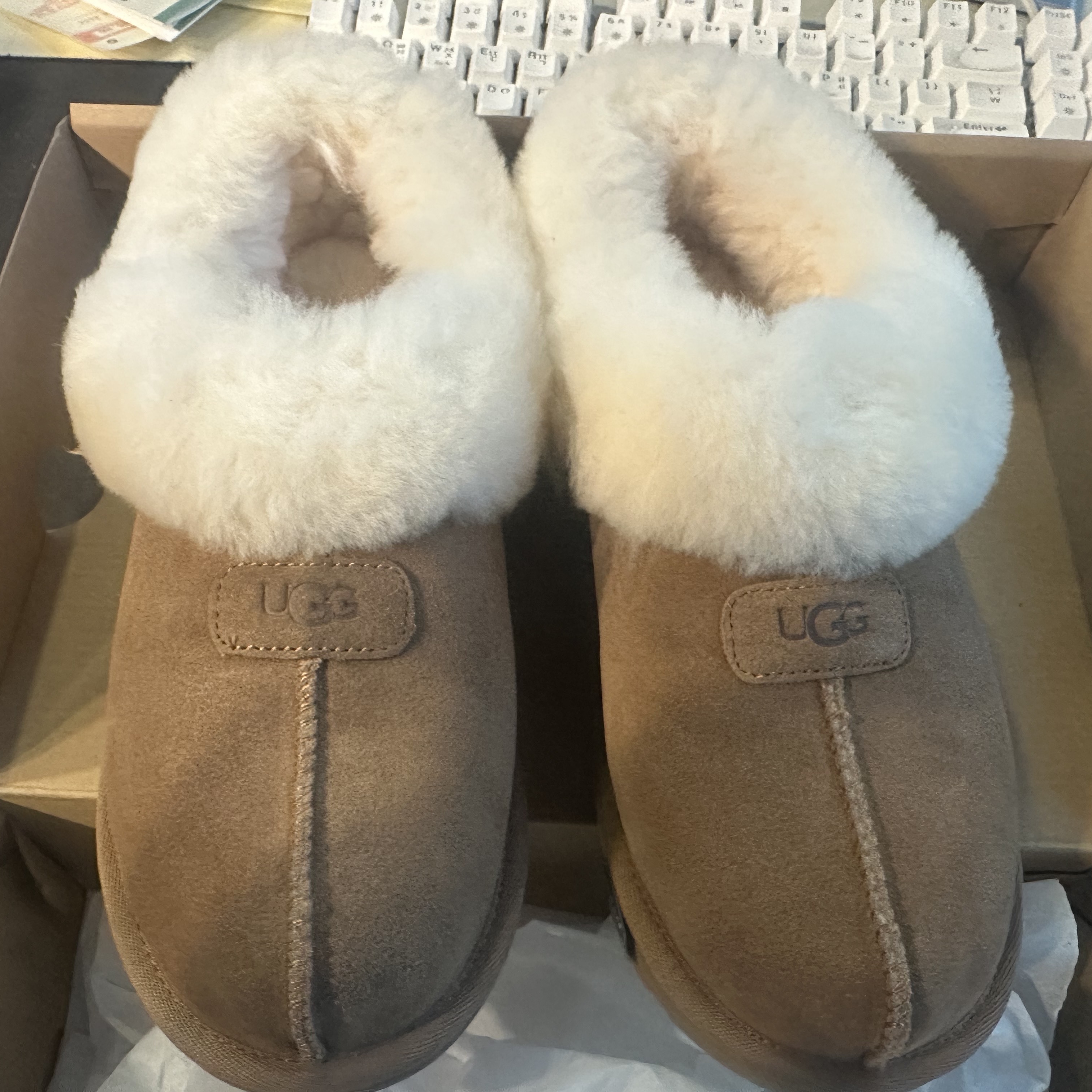 (W) UGG Tazzette Slipper Chestnut 착용 스타일