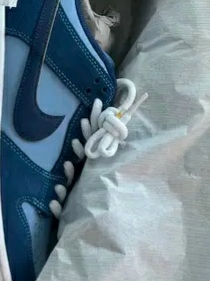 Nike x Why So Sad? SB Dunk Low Pro Coastal Blue 착용 스타일