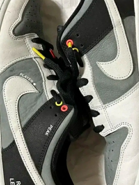 Nike SB Dunk Low Pro Camcorder 착용 스타일