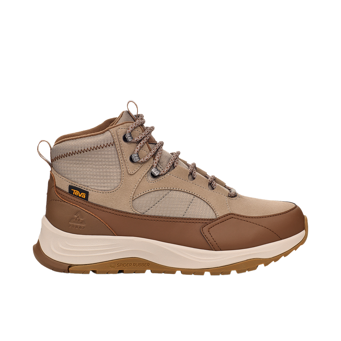 테바 남성 오로리스 (DTT)