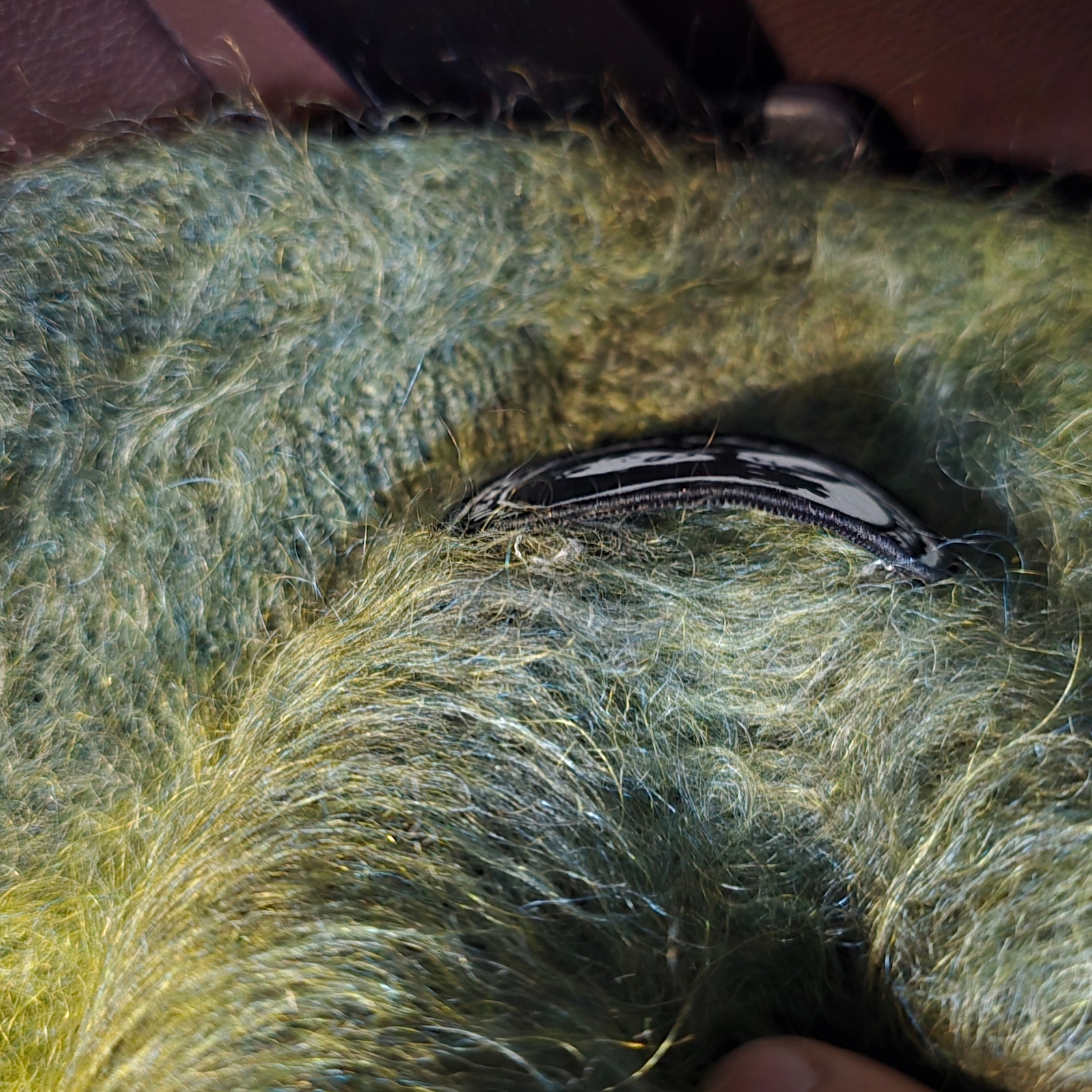 Supreme x Hysteric Glamour Mohair Zip Up Hooded Sweater Olive - 24FW 착용 스타일 - 2