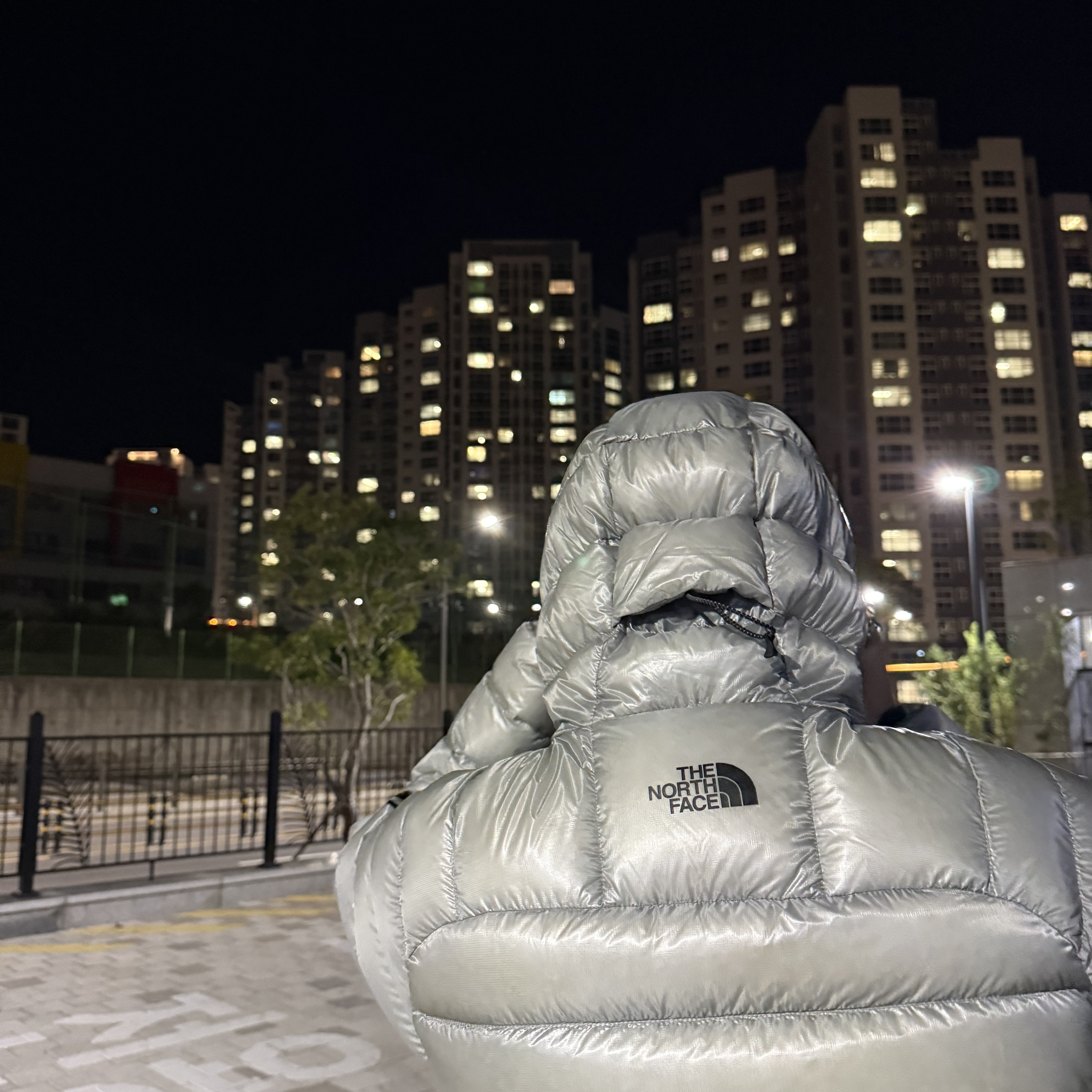 The North Face Summit Mattehorn RDS Down Jacket Light Gray 착용 스타일 - 2