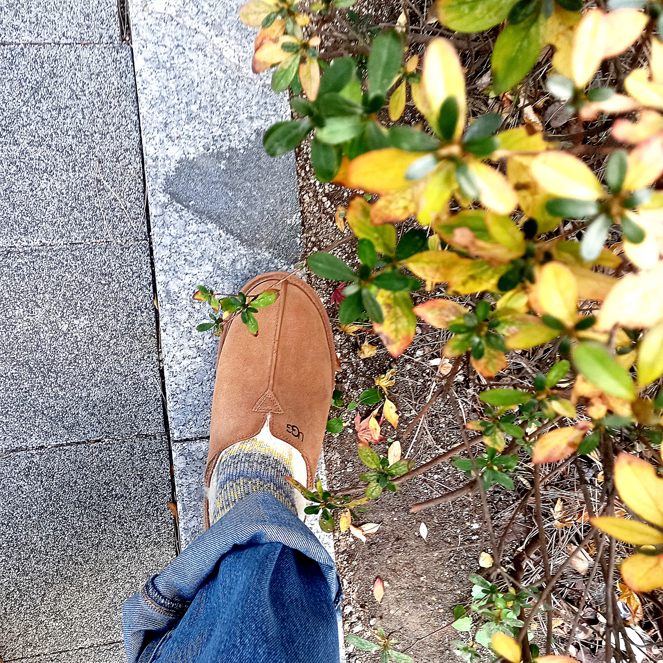 UGG Neuman Chestnut, Levi's 568 Loose Straight Jeans Medium Indigo 착용 스타일 - 1