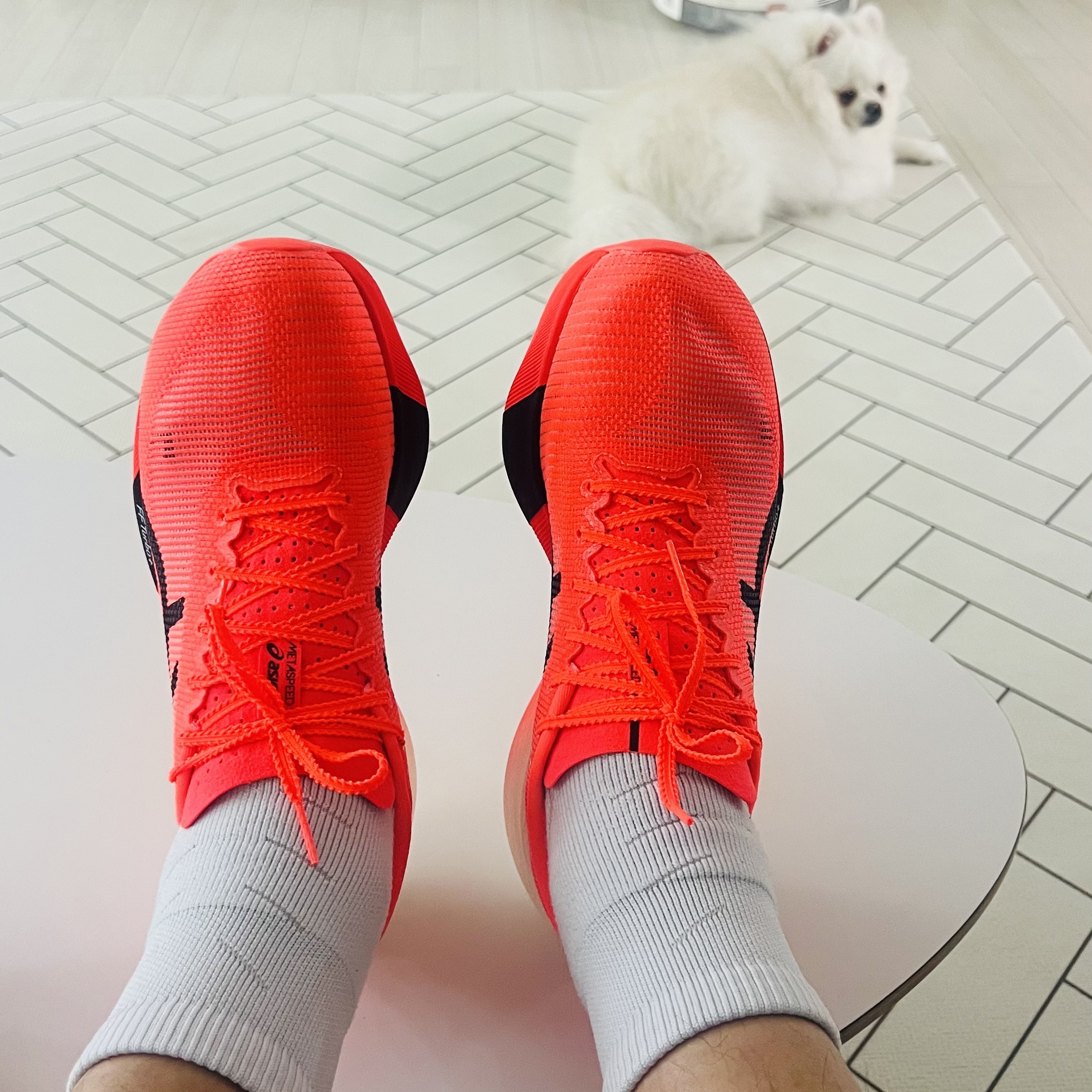 Asics Metaspeed Sky Paris Sunrise Red Black 착용 스타일 - 3