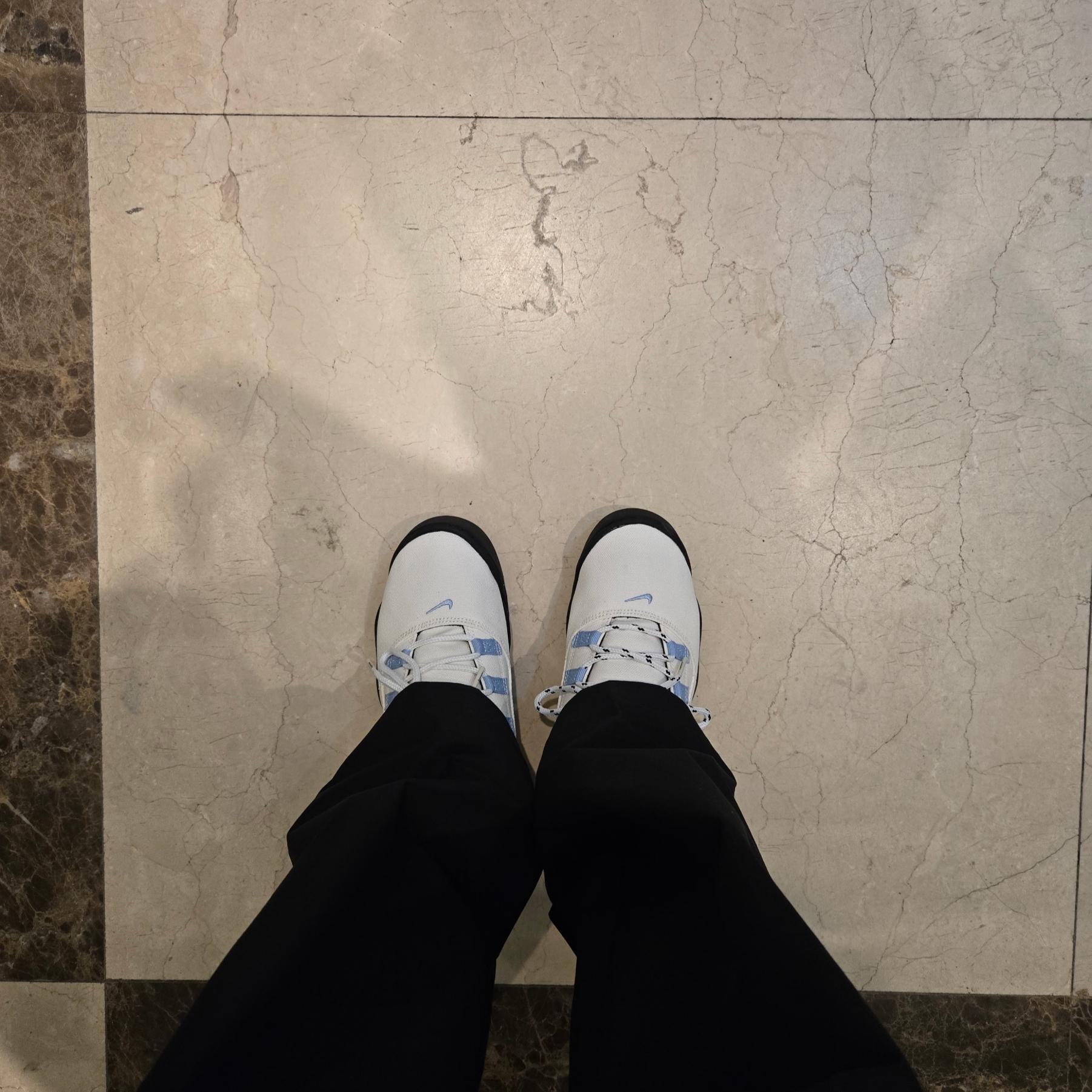 Nike x Supreme SB Darwin Low White 착용 스타일 - 1