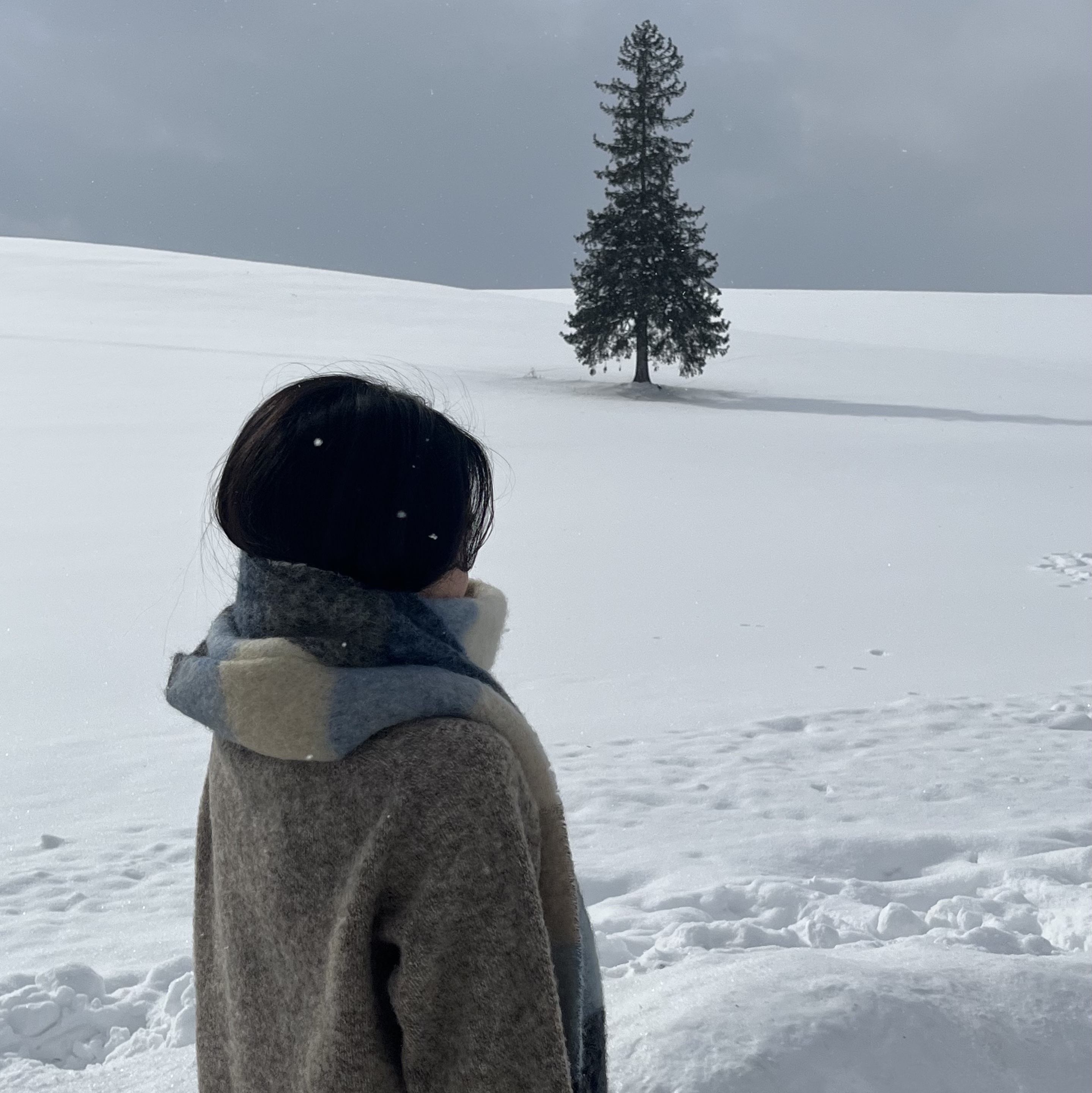 Arc'teryx Thorium Hoody Black, Acne Studios Mohair Check Muffler Blue Beige Black 착용 스타일 - 3