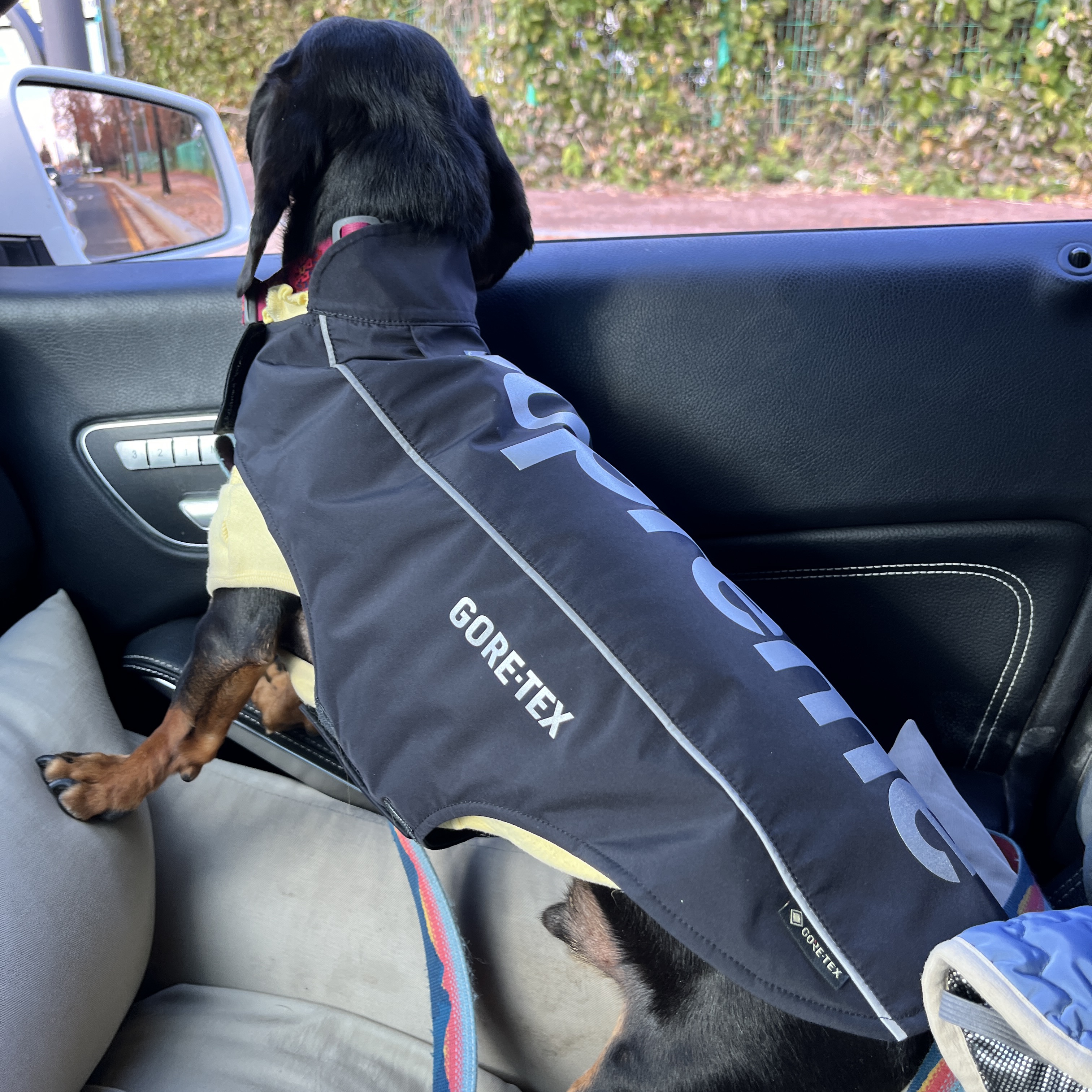 Supreme Gore-Tex Dog Jacket Black - 24FW 착용 스타일 - 2