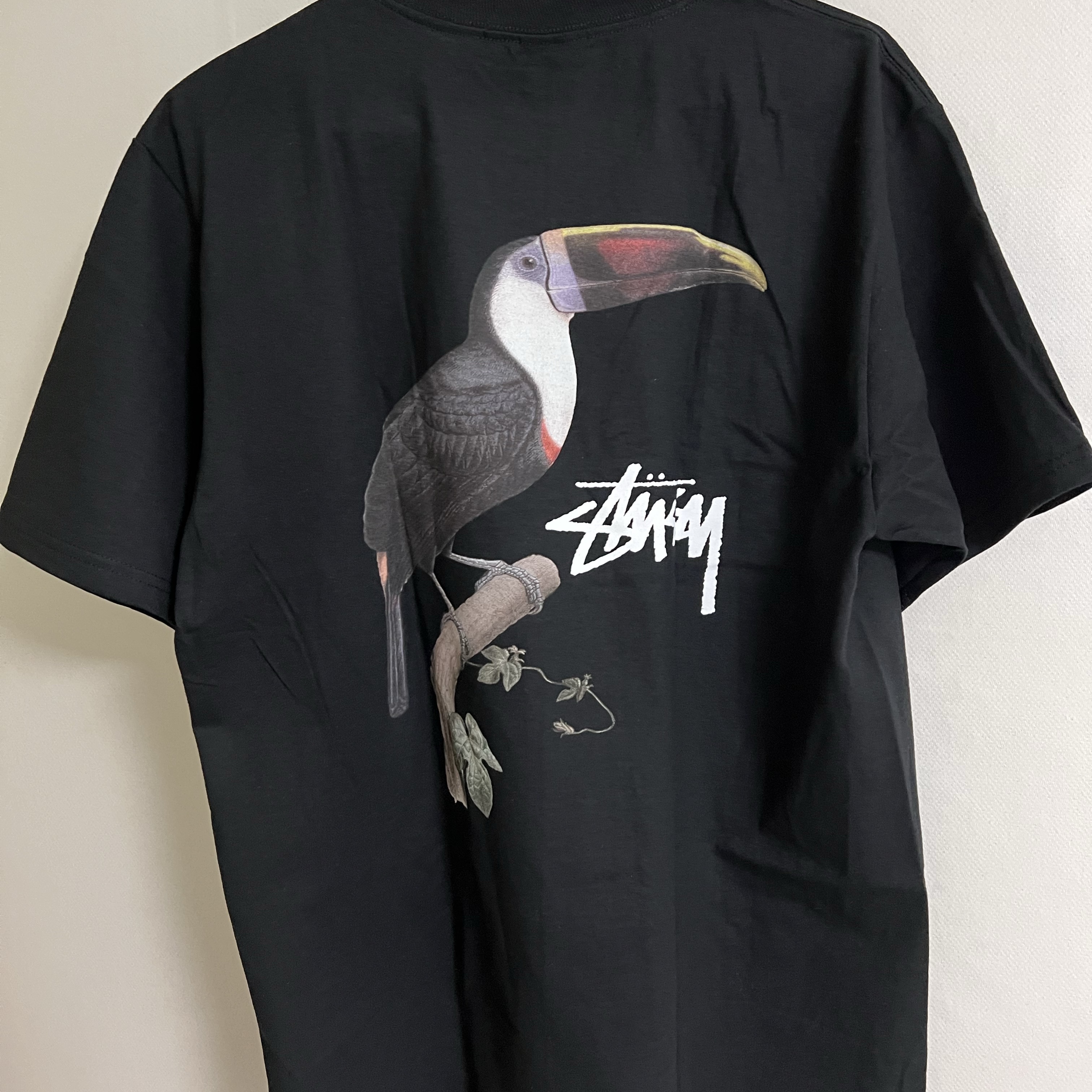 Stussy Toucan T-Shirt Black 착용 스타일