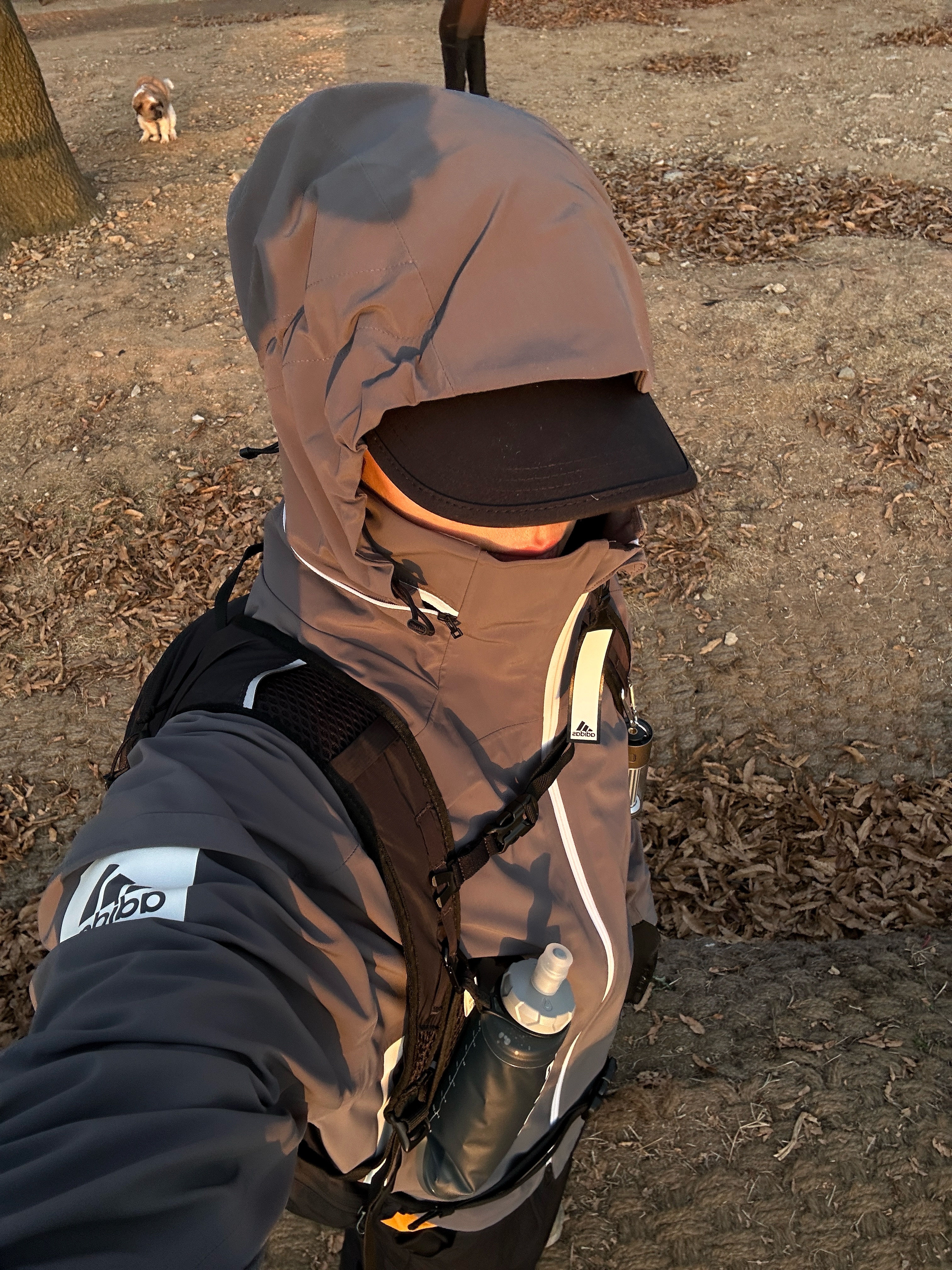 Adidas Myshelte Rain.RDY Jacket Active Gold - KR Sizing 착용 스타일 - 2