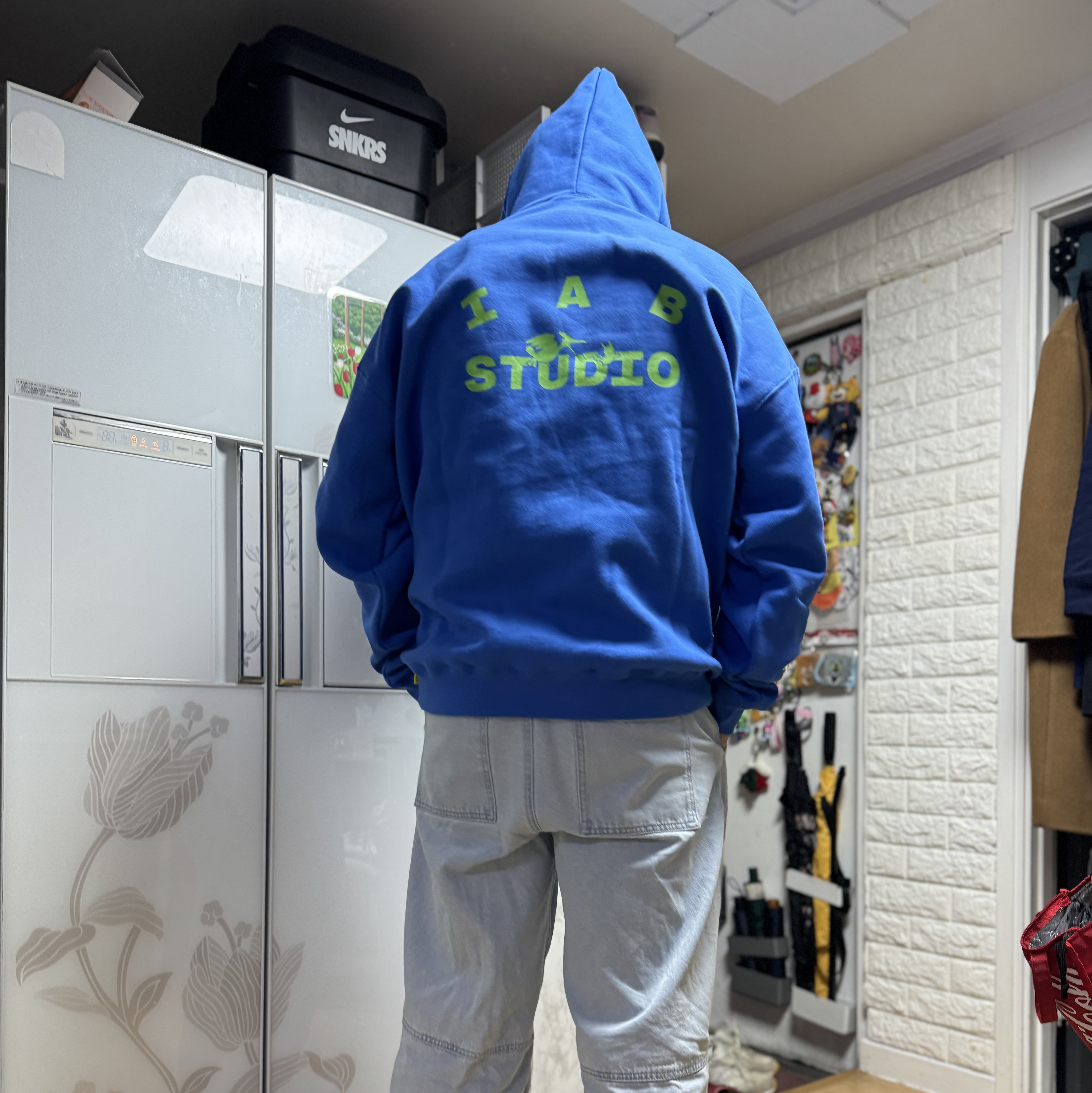IAB Studio x Pokemon Swallowed Up Pikachu Hoodie Blue Green 착용 스타일