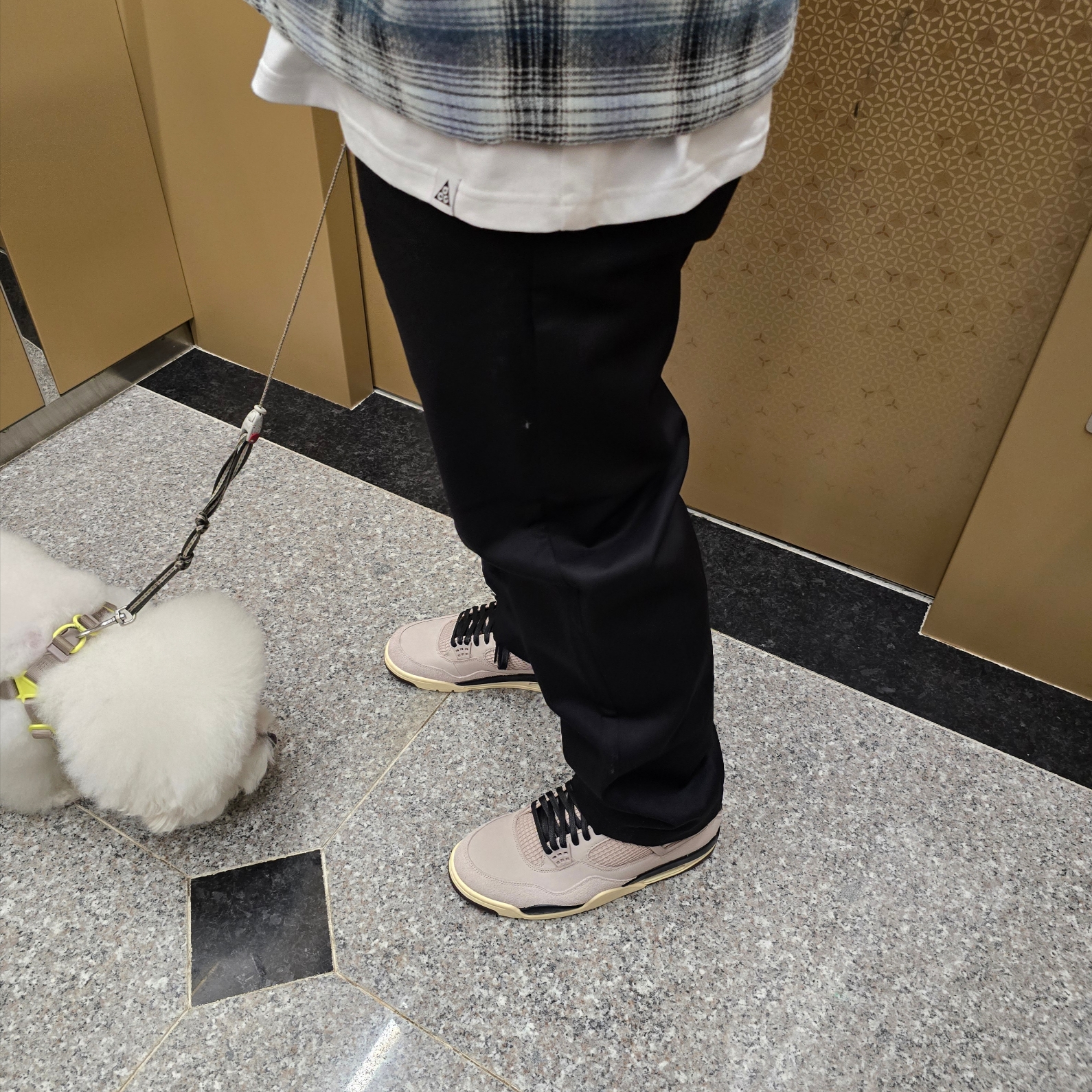 (W) Jordan 4 x A Ma Maniere Retro OG SP W.Y.W.S. 착용 스타일 - 3