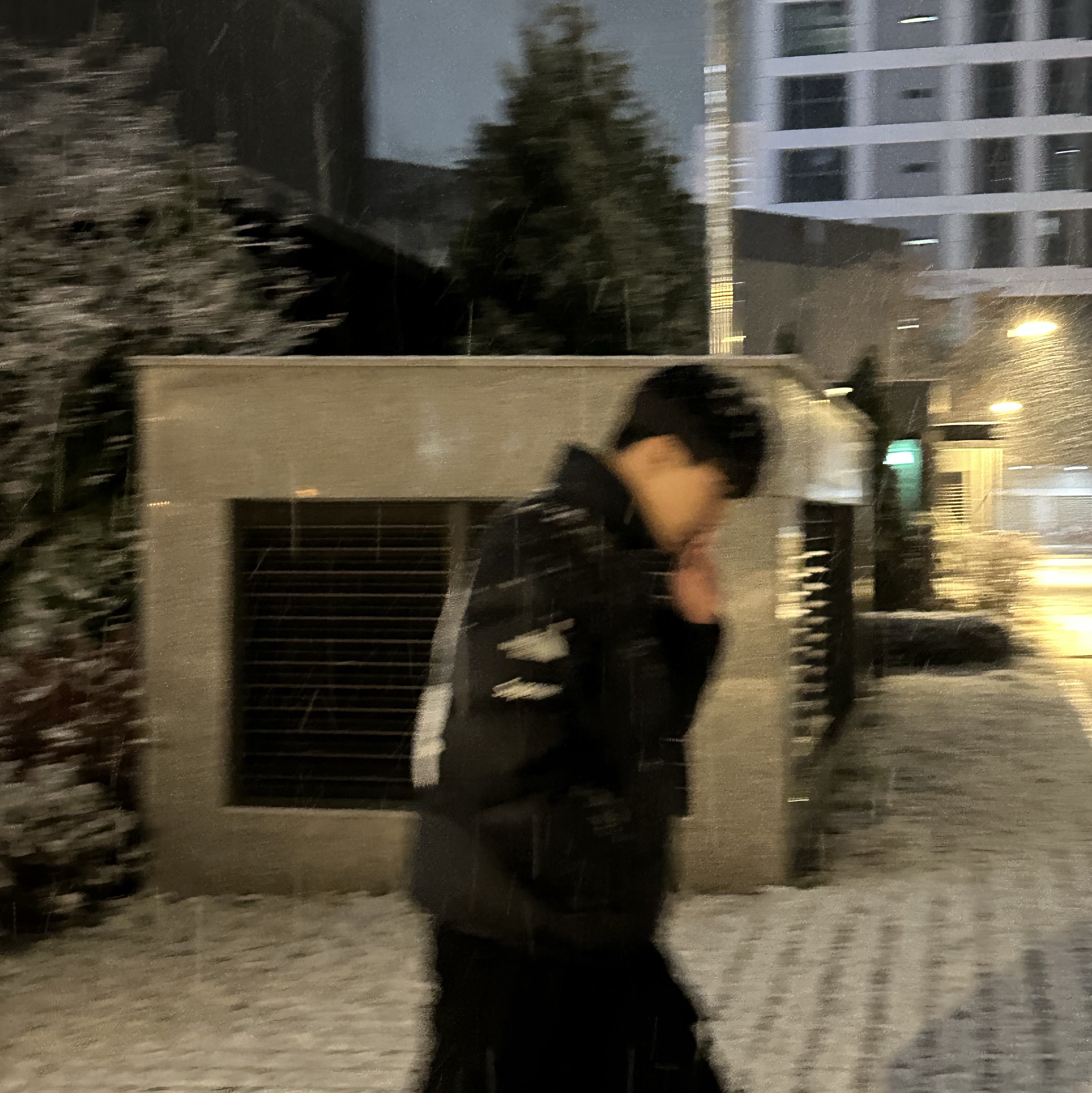Supreme x The North Face Nuptse Jacket Black - 24FW 착용 스타일 - 2