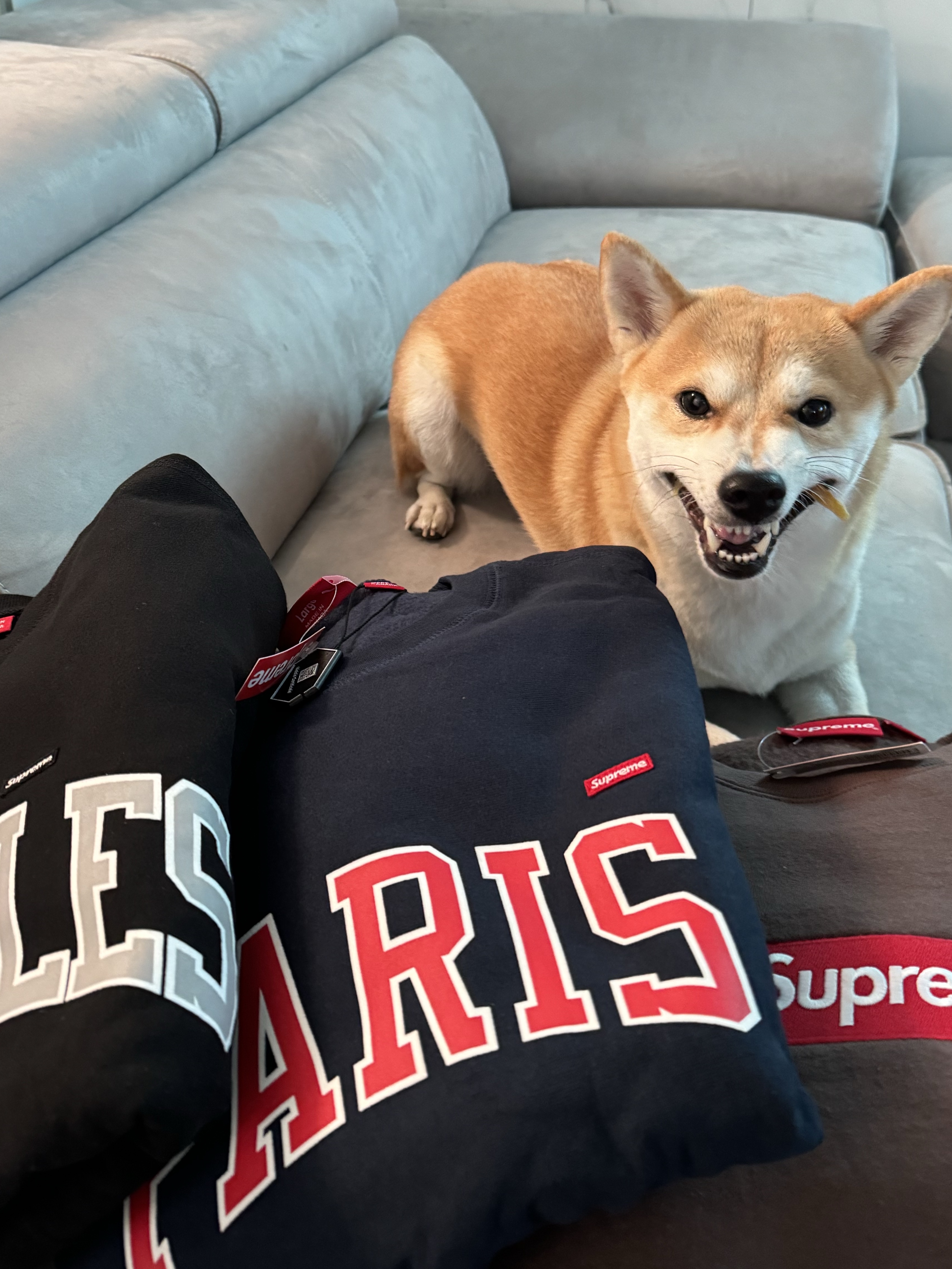Supreme Los Angeles Shop Small Box Crewneck Black - 24SS, Supreme Paris Shop Small Box Crewneck Navy - 24SS 착용 스타일 - 2