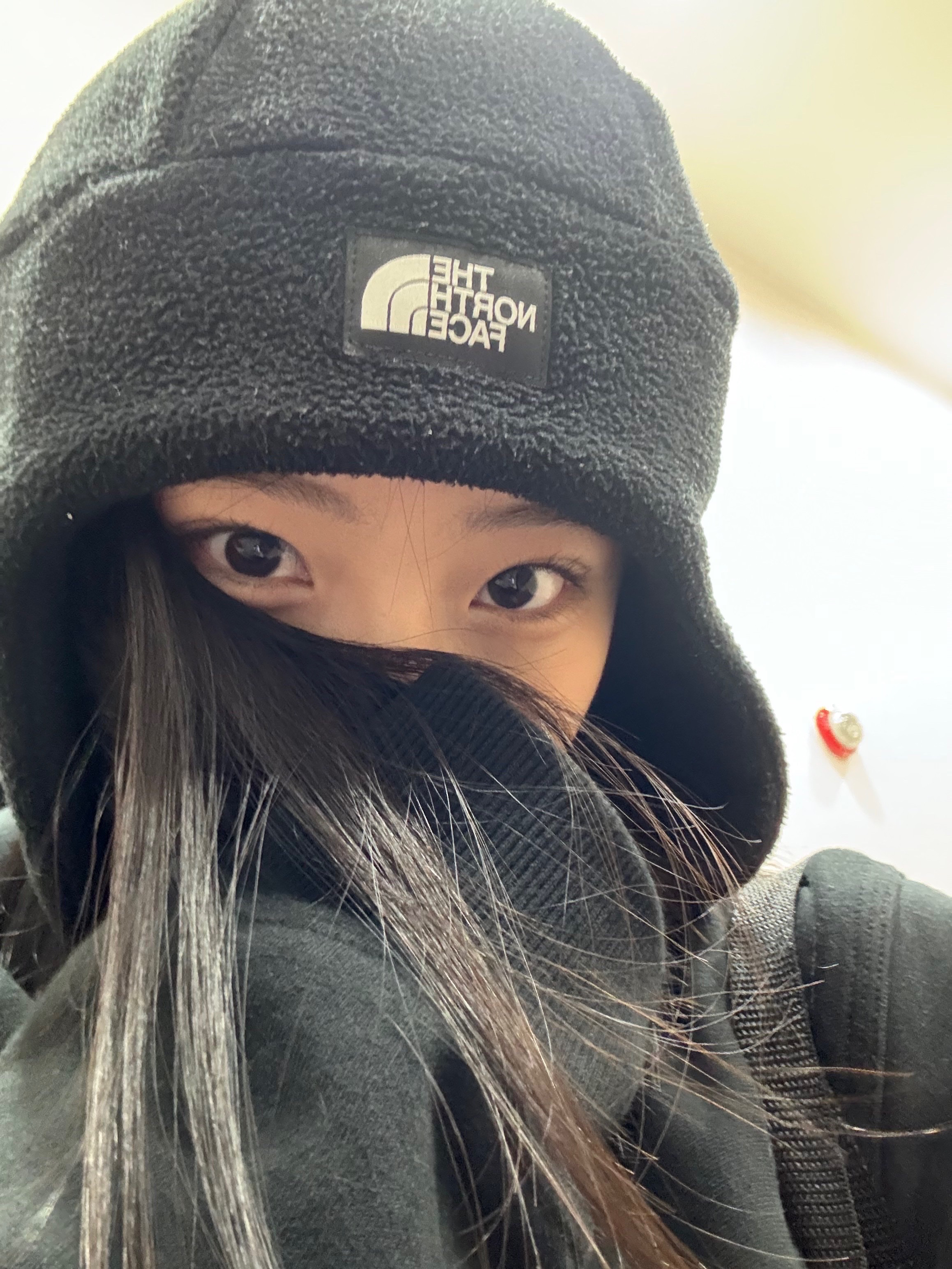 The North Face Fleece Earmuff Beanie Black, Stussy Basic Stussy Hoodie Black 착용 스타일