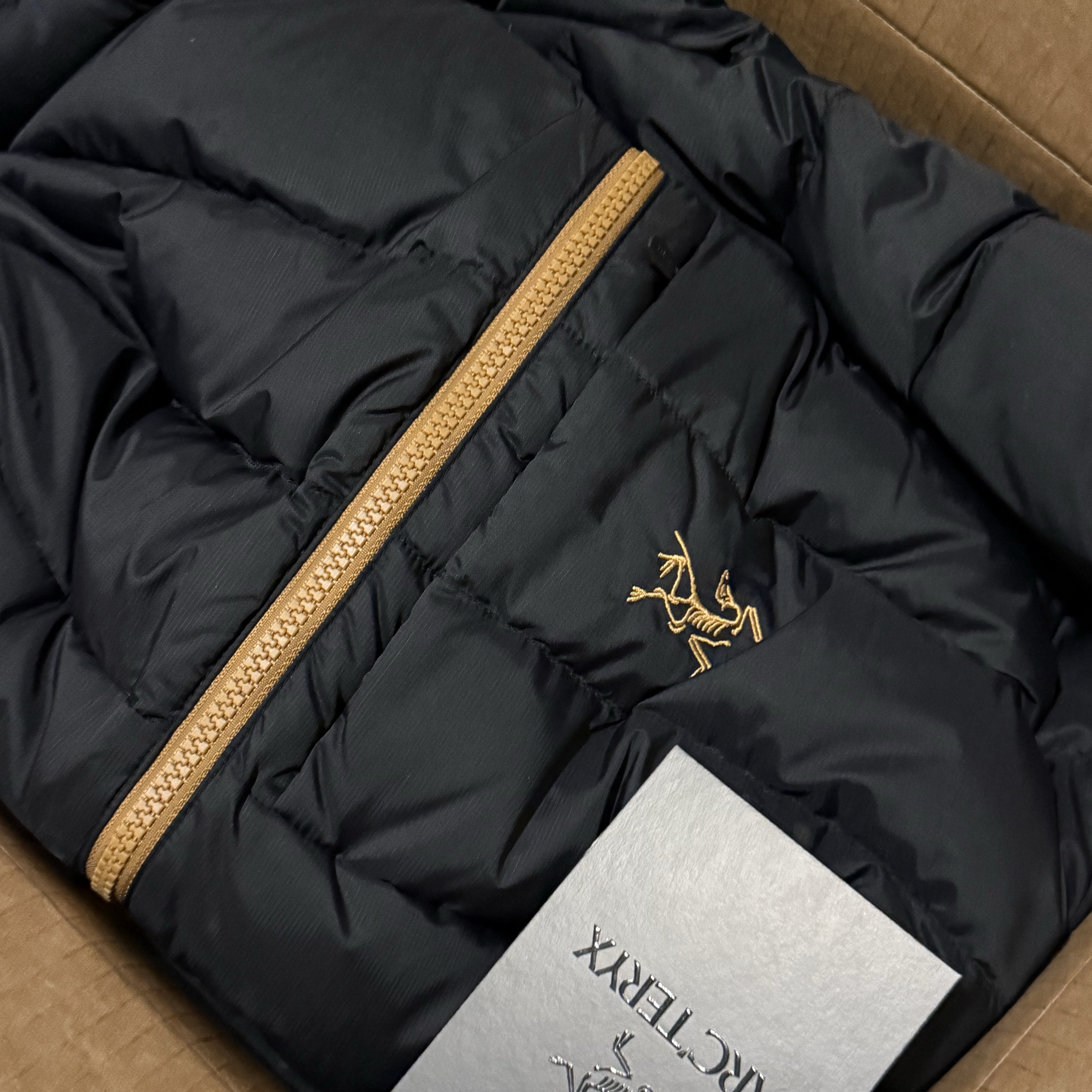 Arc'teryx Thorium Hoody Dark Magic 착용 스타일