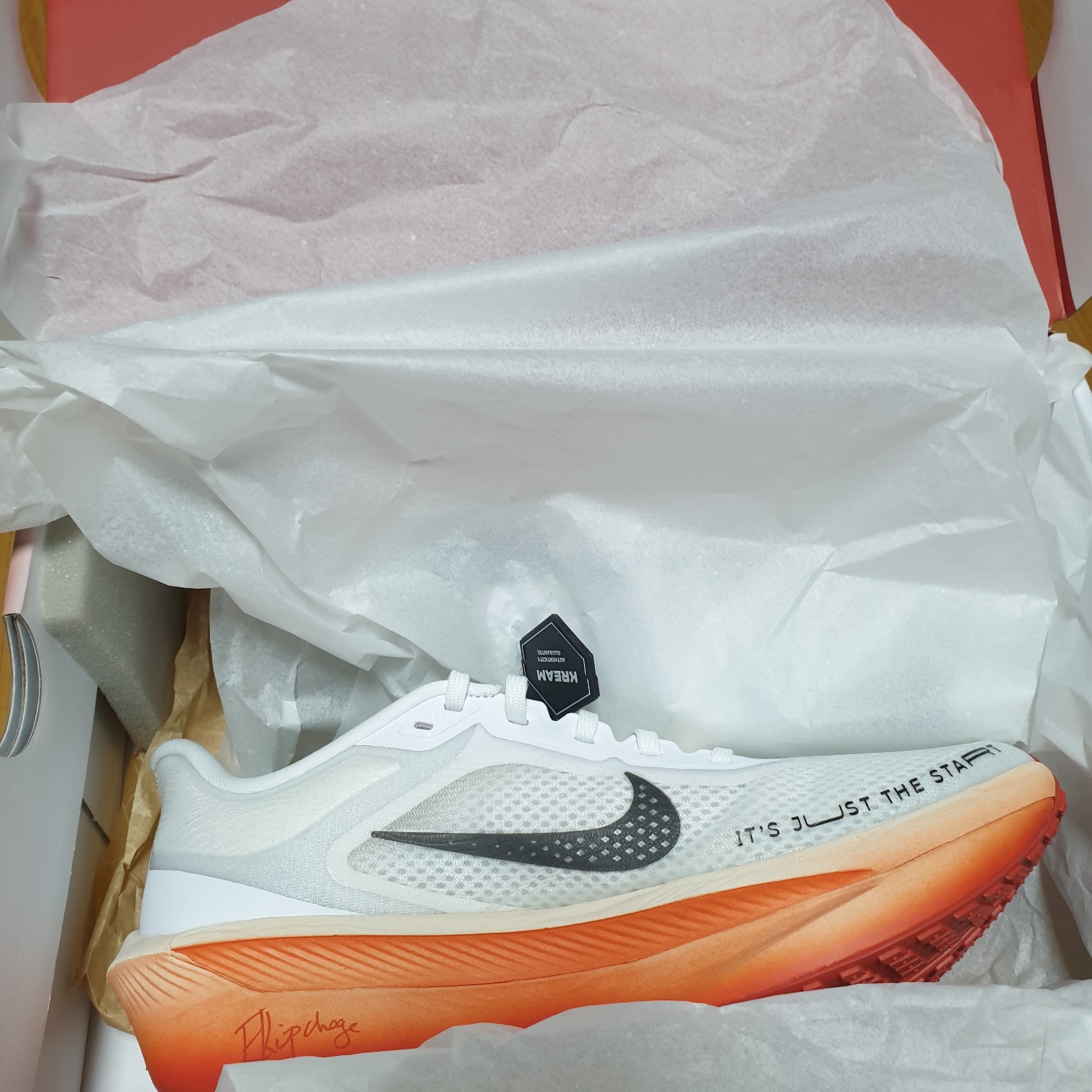 Nike Zoom Fly 6 Eliud Kipchoge 착용 스타일