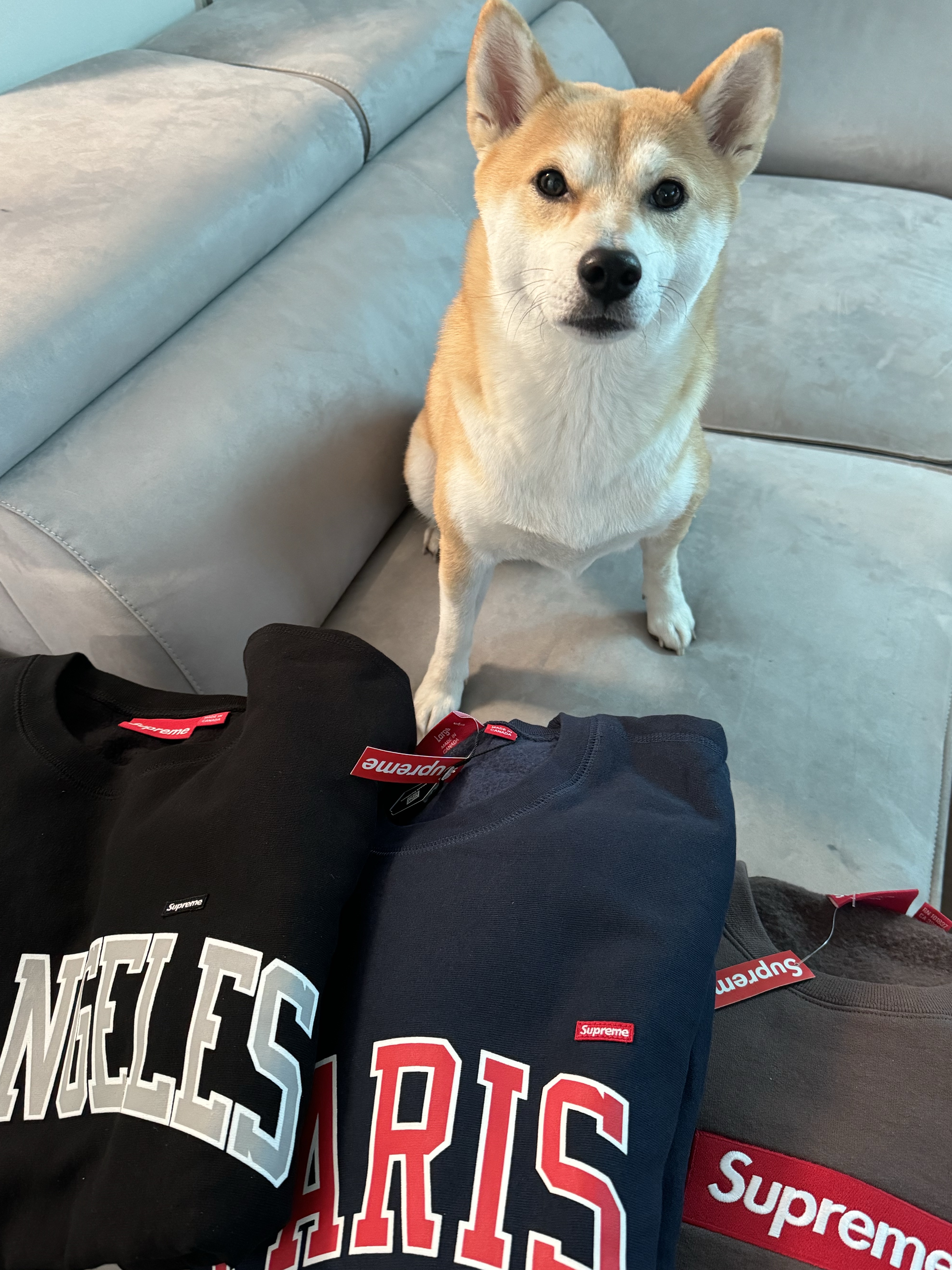 Supreme Los Angeles Shop Small Box Crewneck Black - 24SS, Supreme Paris Shop Small Box Crewneck Navy - 24SS 착용 스타일 - 1