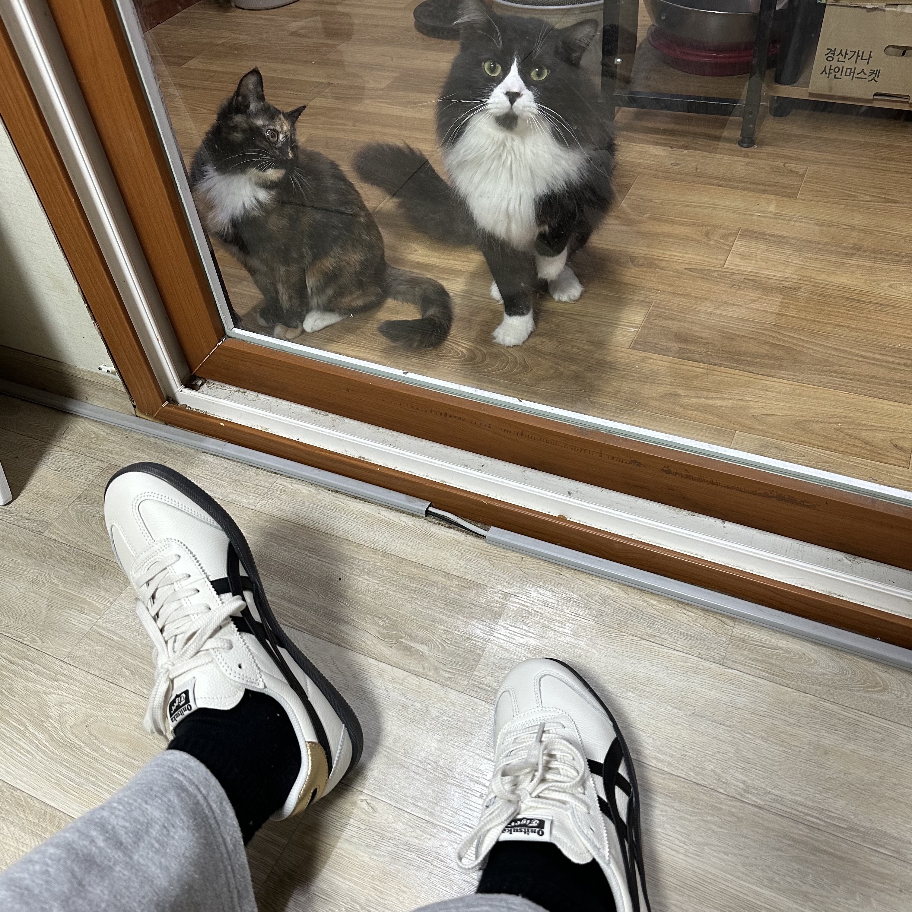 Onitsuka Tiger Tokuten White Black 착용 스타일