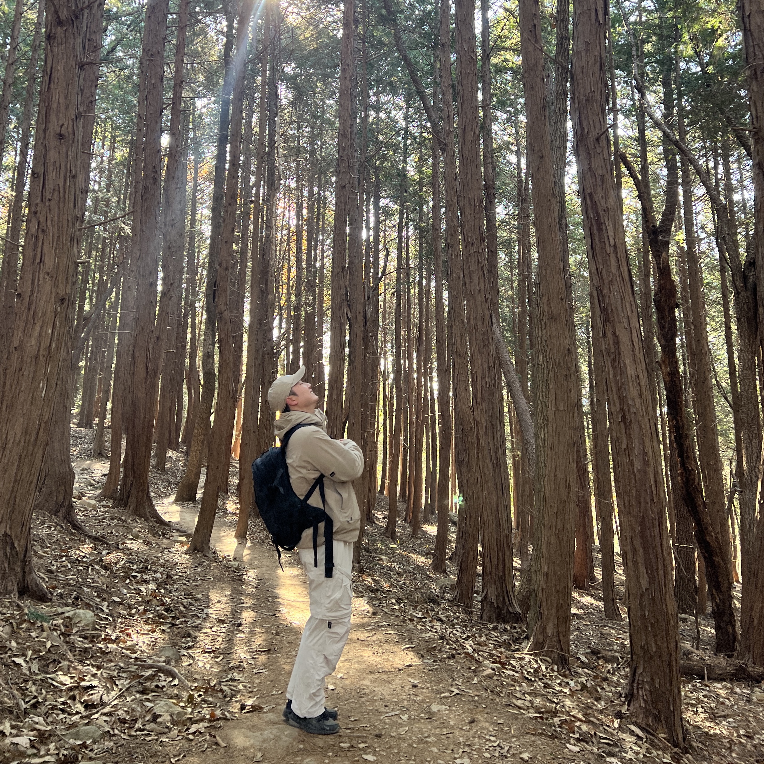 Nike ACG Sun Farer Jacket Khaki Summit White - Asia, Nike ACG Smith Summit Cargo Pants Light Orewood Brown - Asia 착용 스타일 - 1