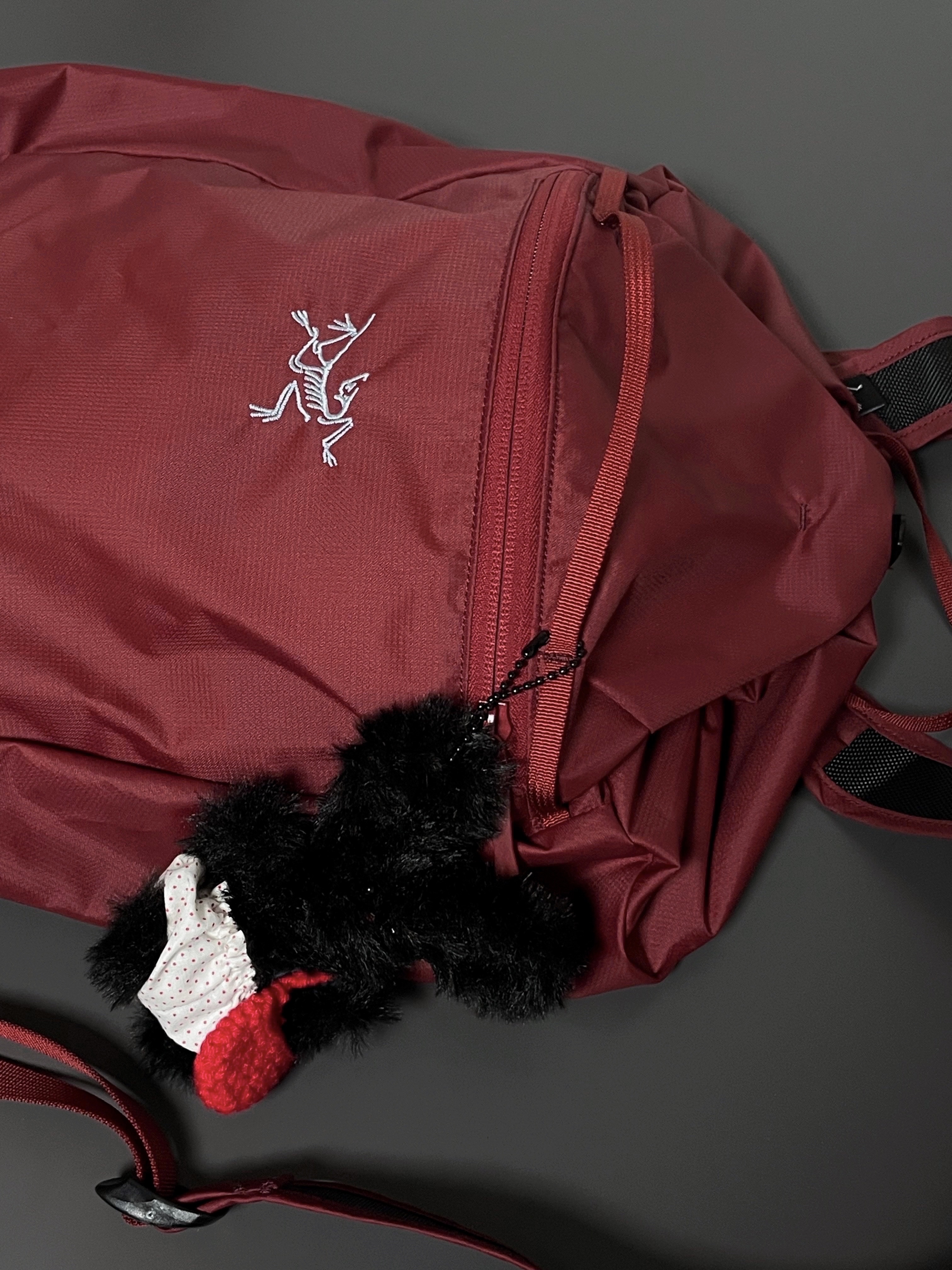 Arc'teryx Heliad 10 Backpack Bordeaux 착용 스타일