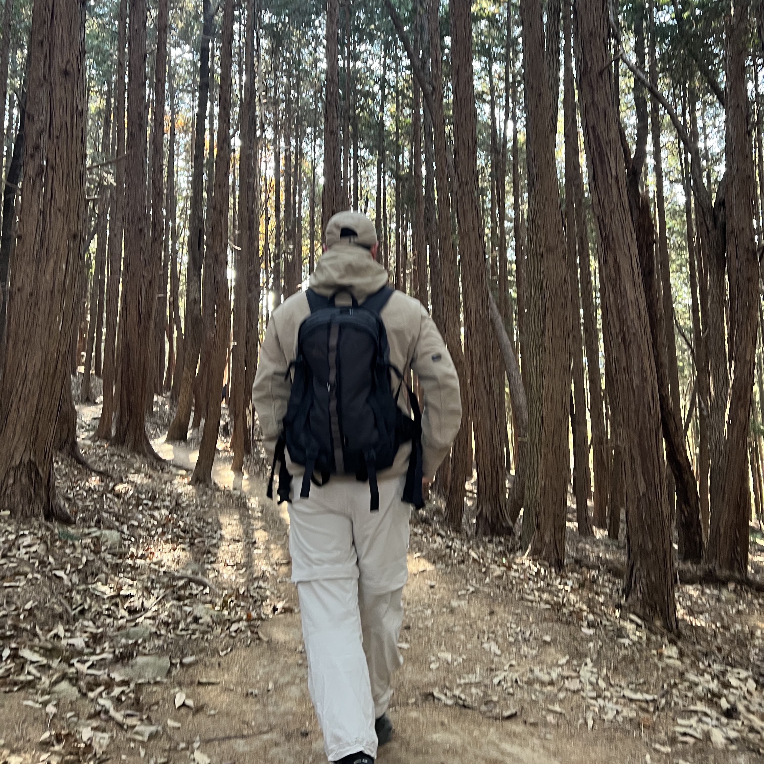 Nike ACG Sun Farer Jacket Khaki Summit White - Asia, Nike ACG Smith Summit Cargo Pants Light Orewood Brown - Asia 착용 스타일 - 3