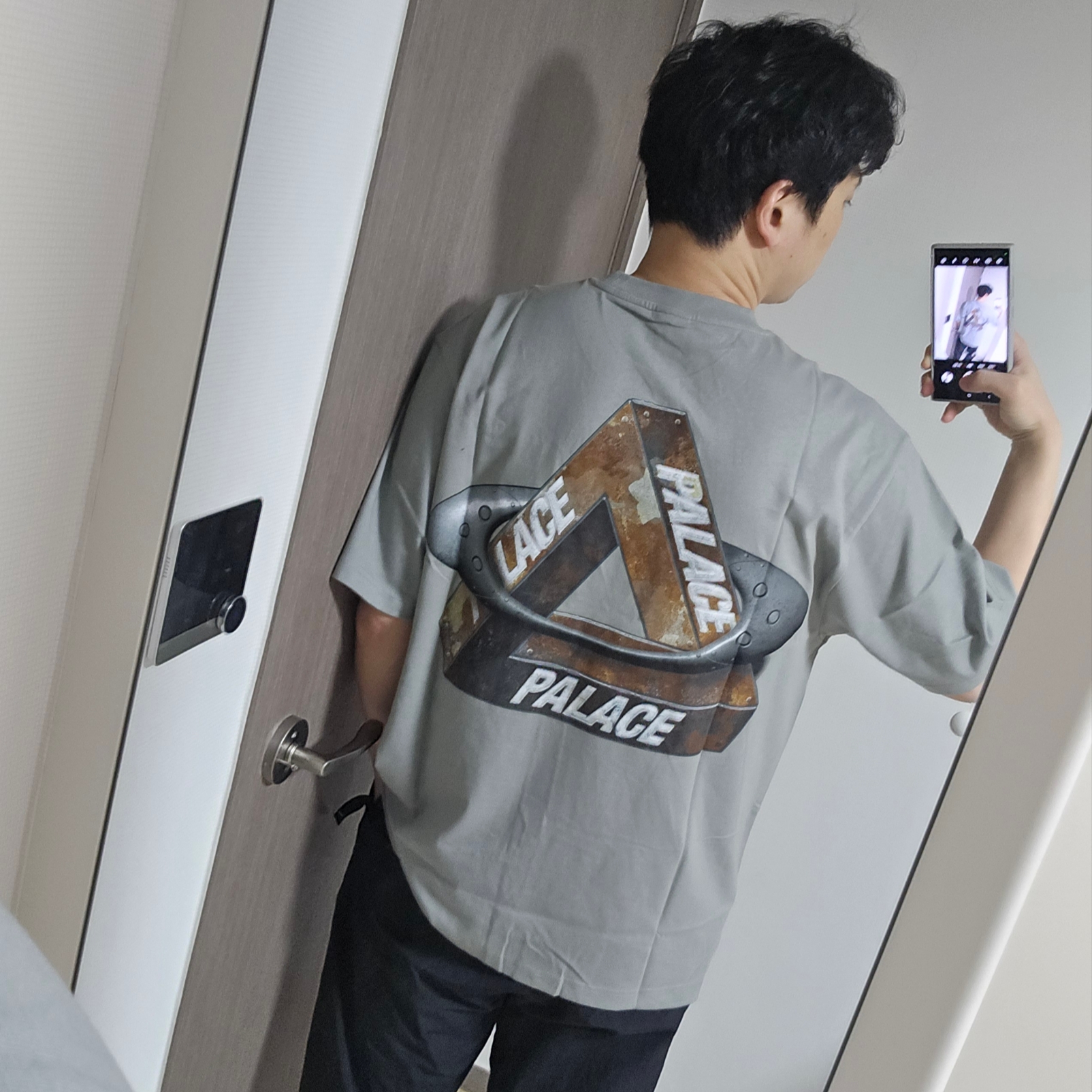 Palace x Oakley T-Shirt Grey - 24FW 착용 스타일