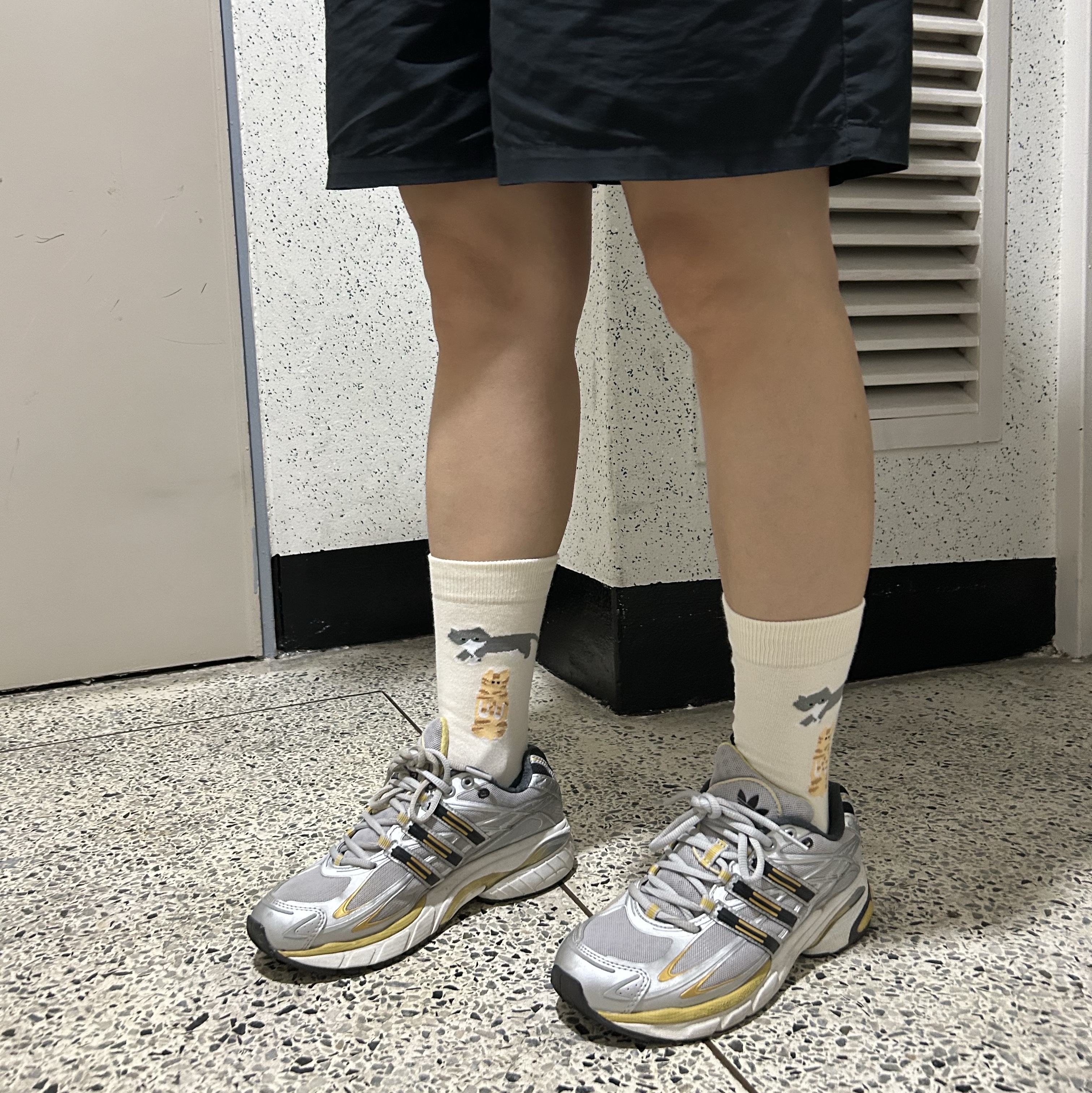 Adidas Adistar Cushion 3 Grey Two Gold Metallic 착용 스타일