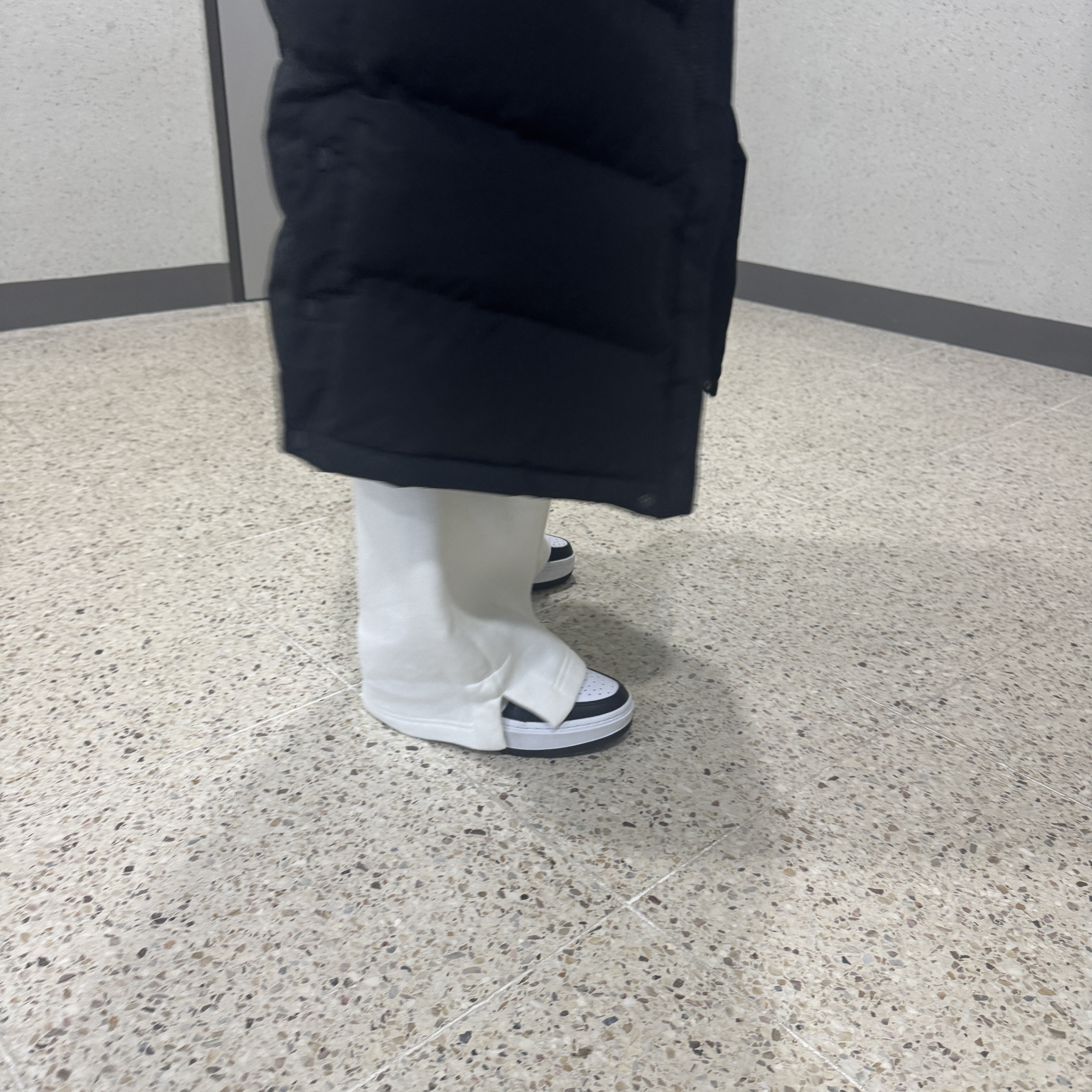 (W) Jordan 1 Elevate Low White Black 착용 스타일