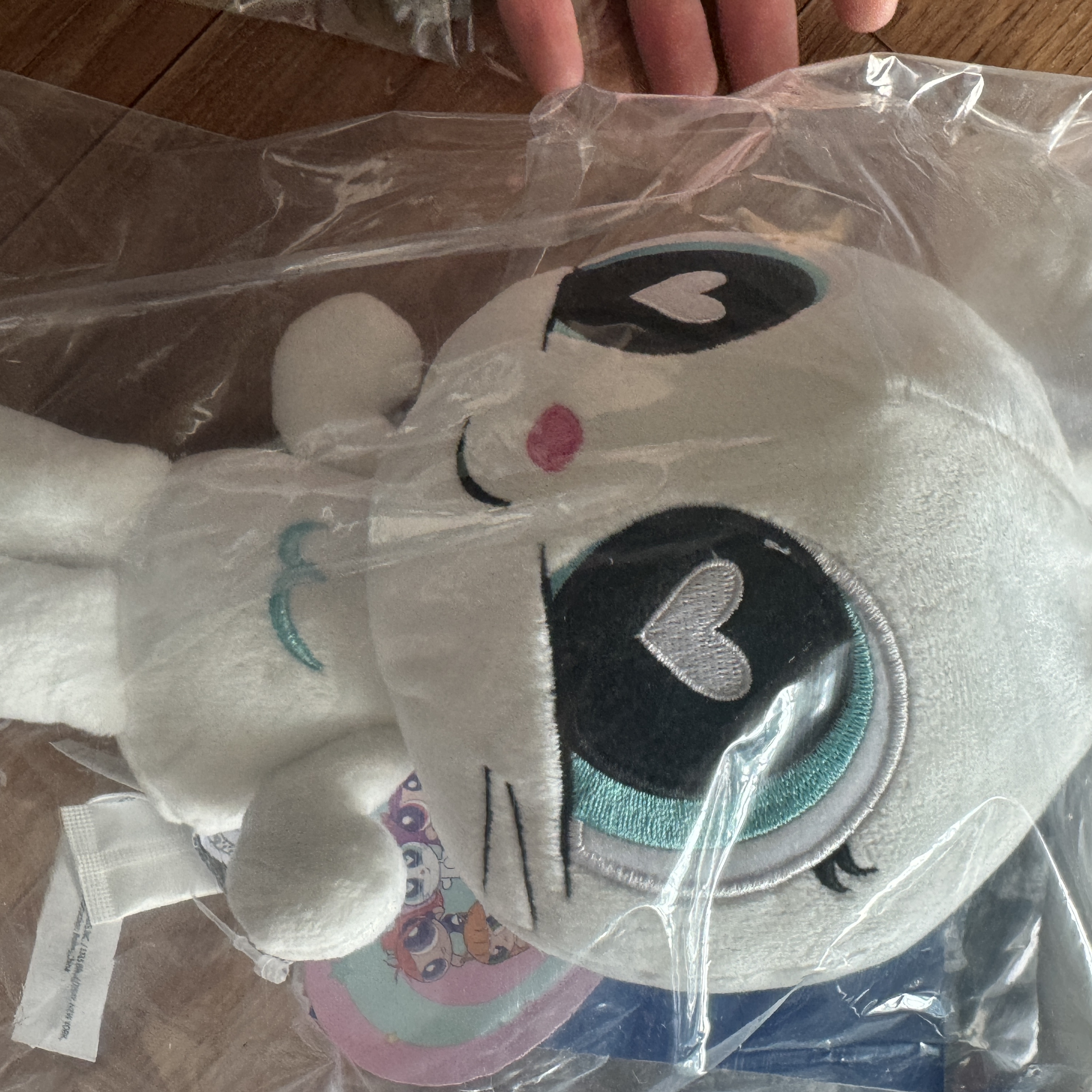 Newjeans x The Powerpuff Girls Doll Medium Bunny 착용 스타일