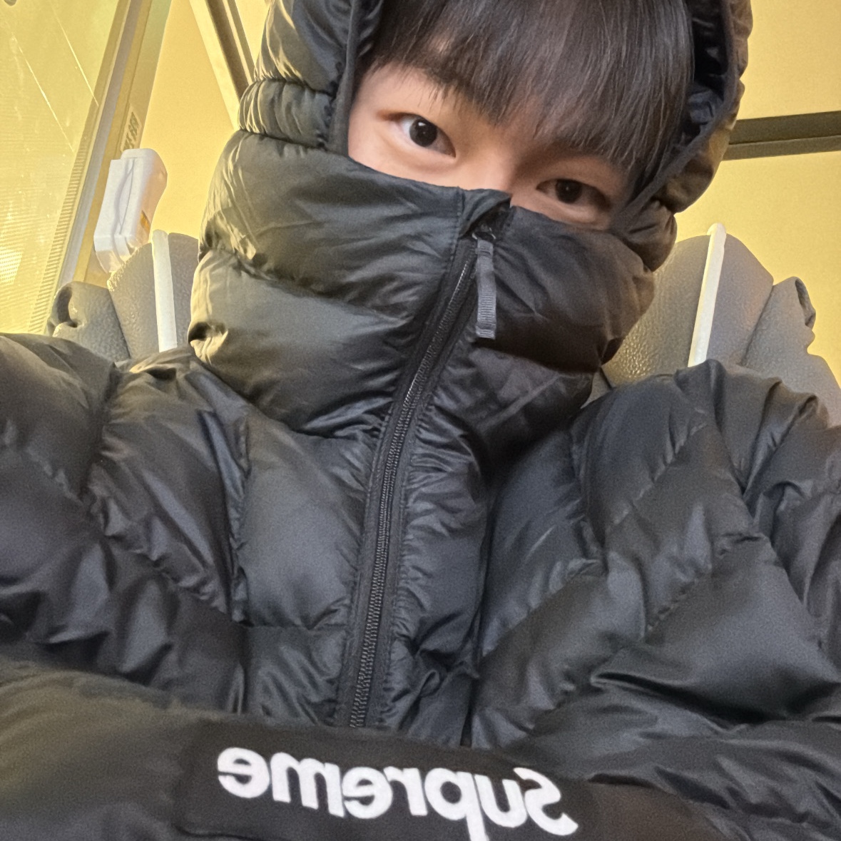 Supreme Micro Down Half Zip Hooded Pullover Black - 24FW 착용 스타일