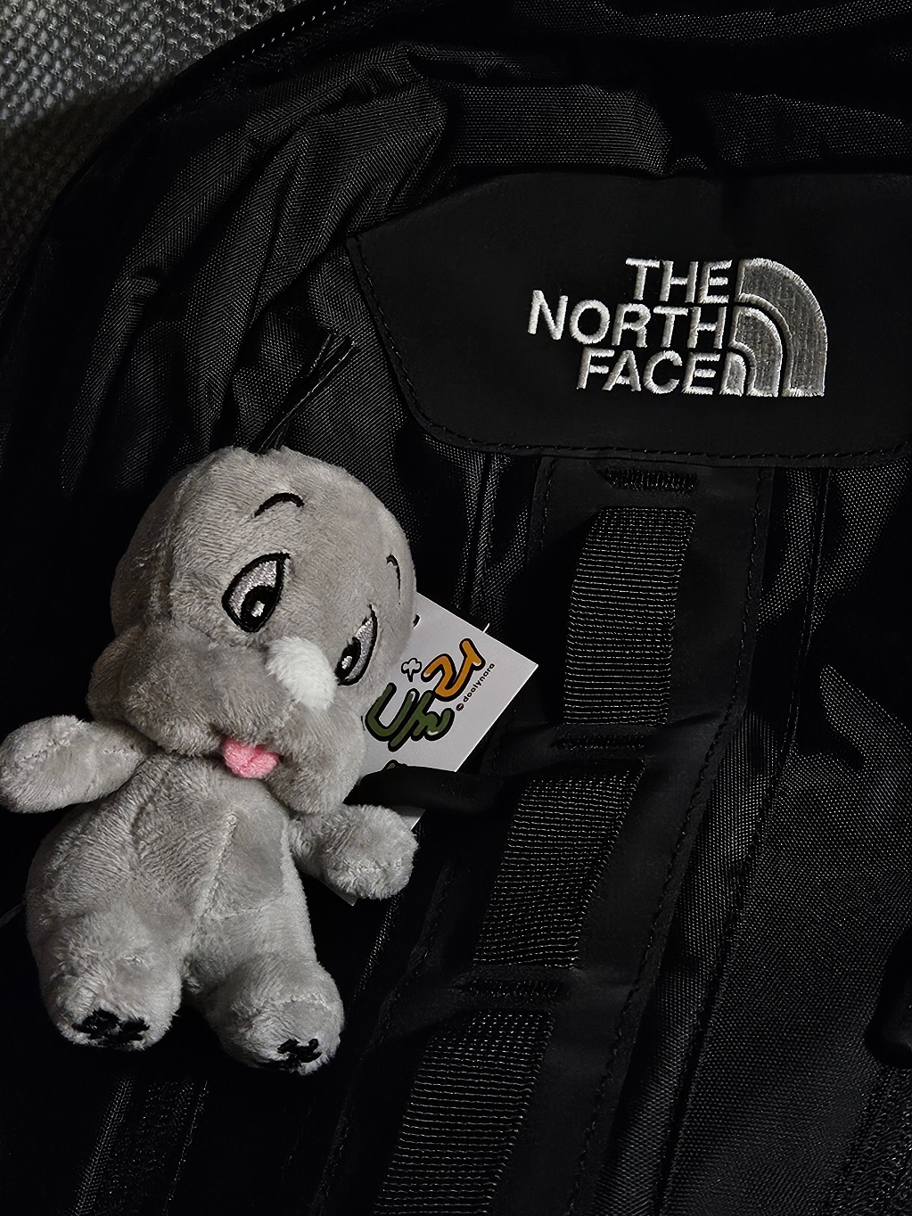 Darkr8m Studio x Dooly Dooly Keyring Ash, The North Face Big Shot Black 착용 스타일