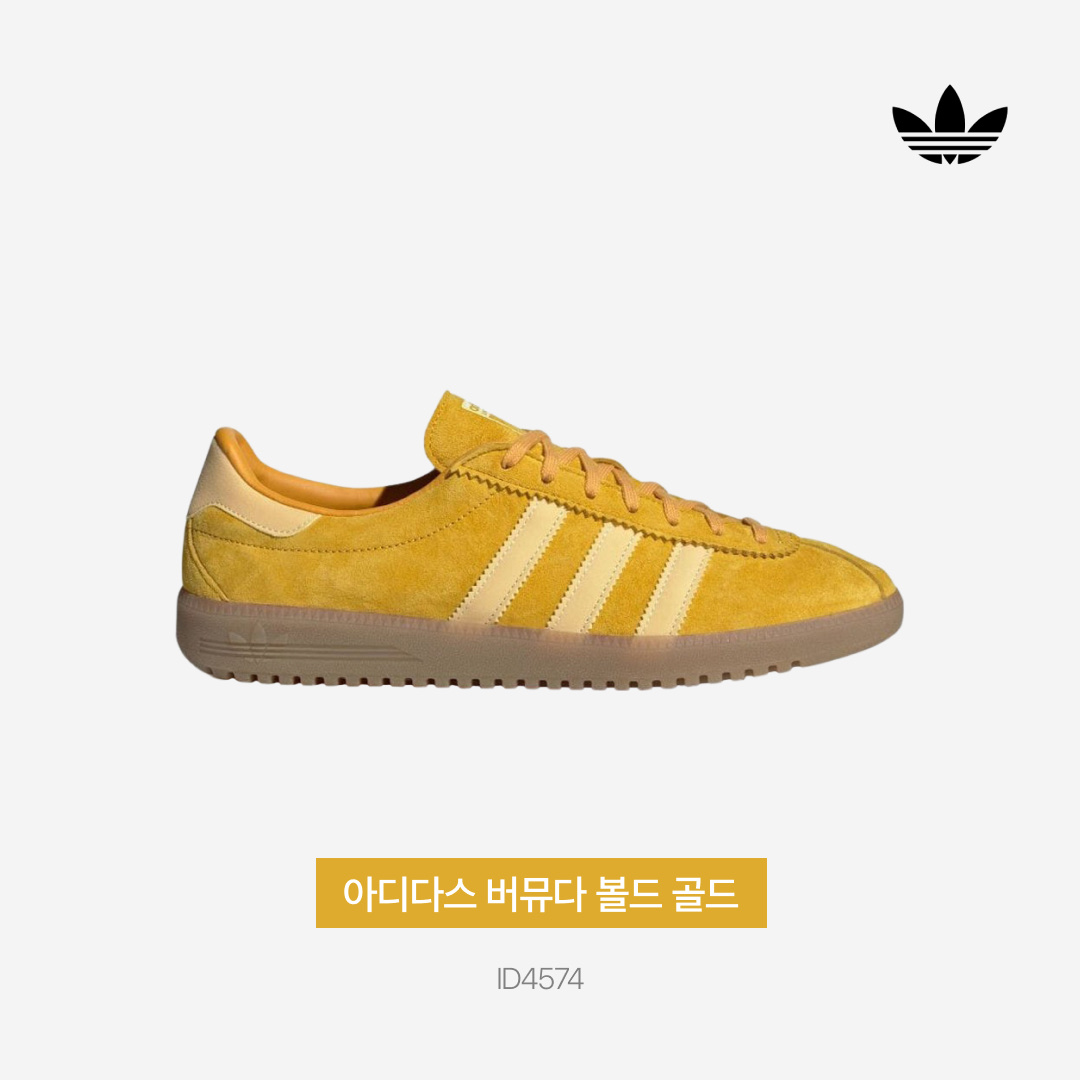 Adidas Bermuda Bold Gold 착용 스타일 - 3