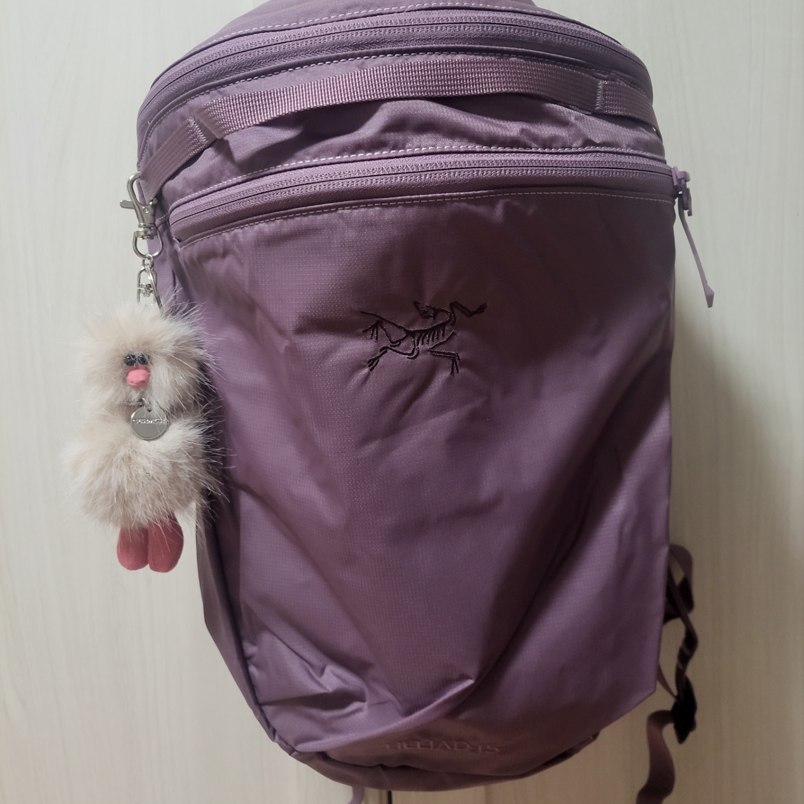 Arc'teryx Heliad 15 Backpack Interstellar, Arc'teryx Heliad 15 Backpack Black 착용 스타일 - 1