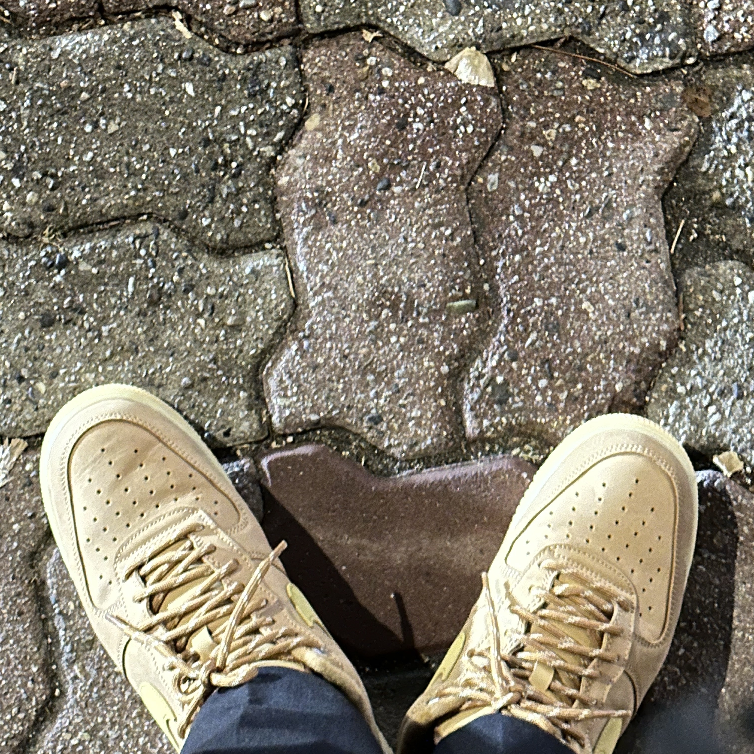 Nike Air Force 1 '07 WB Flax 착용 스타일