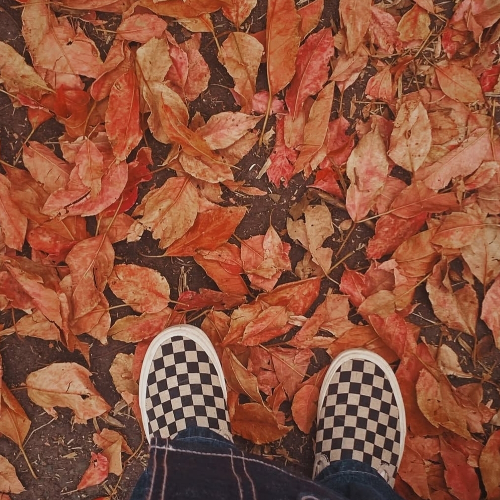 Vans Slip-On Checkerboard 착용 스타일