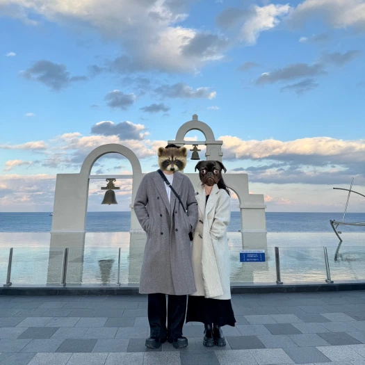 스타일 카드