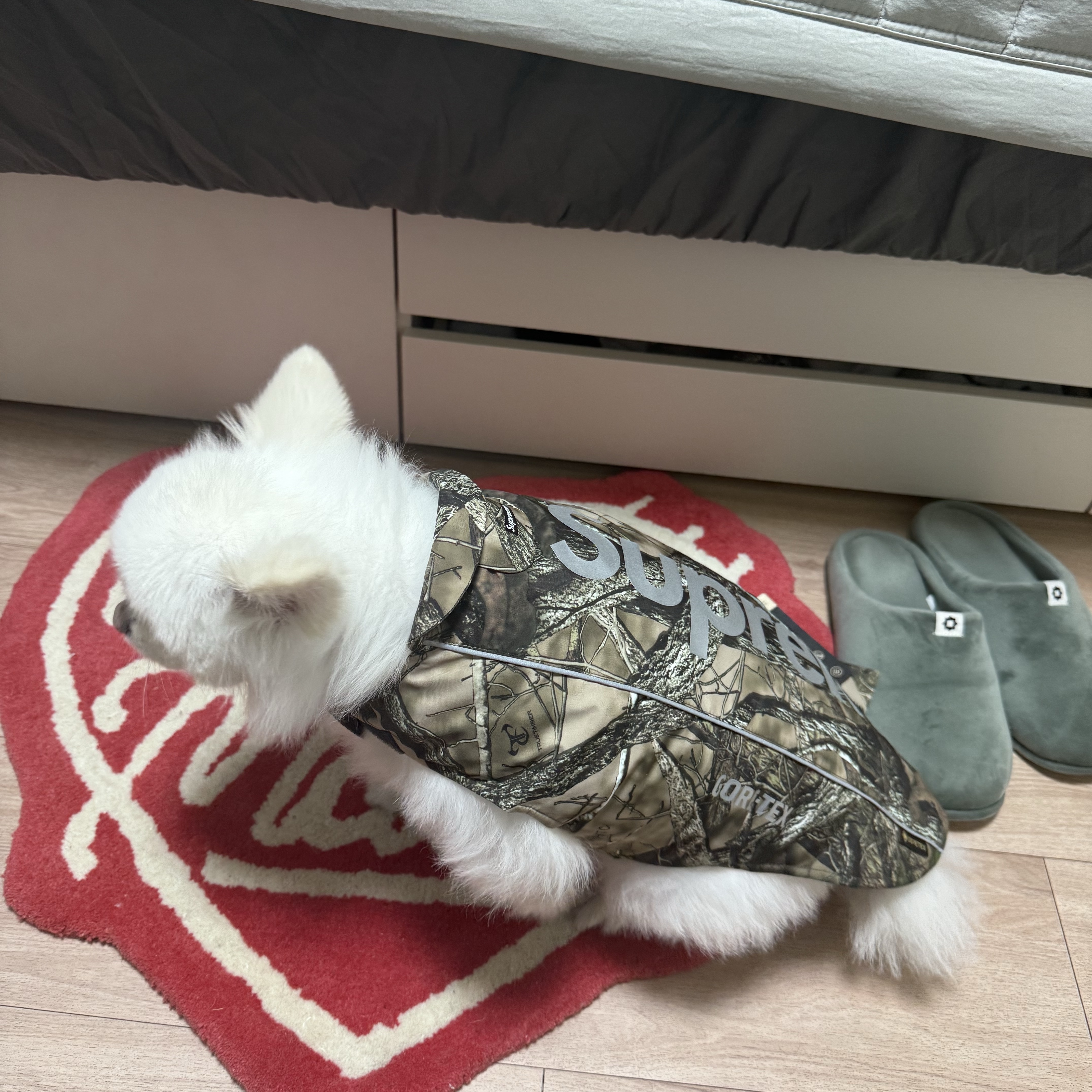 Supreme Gore-Tex Dog Jacket TrueTimber HTC Fall Camo - 24FW 착용 스타일 - 1