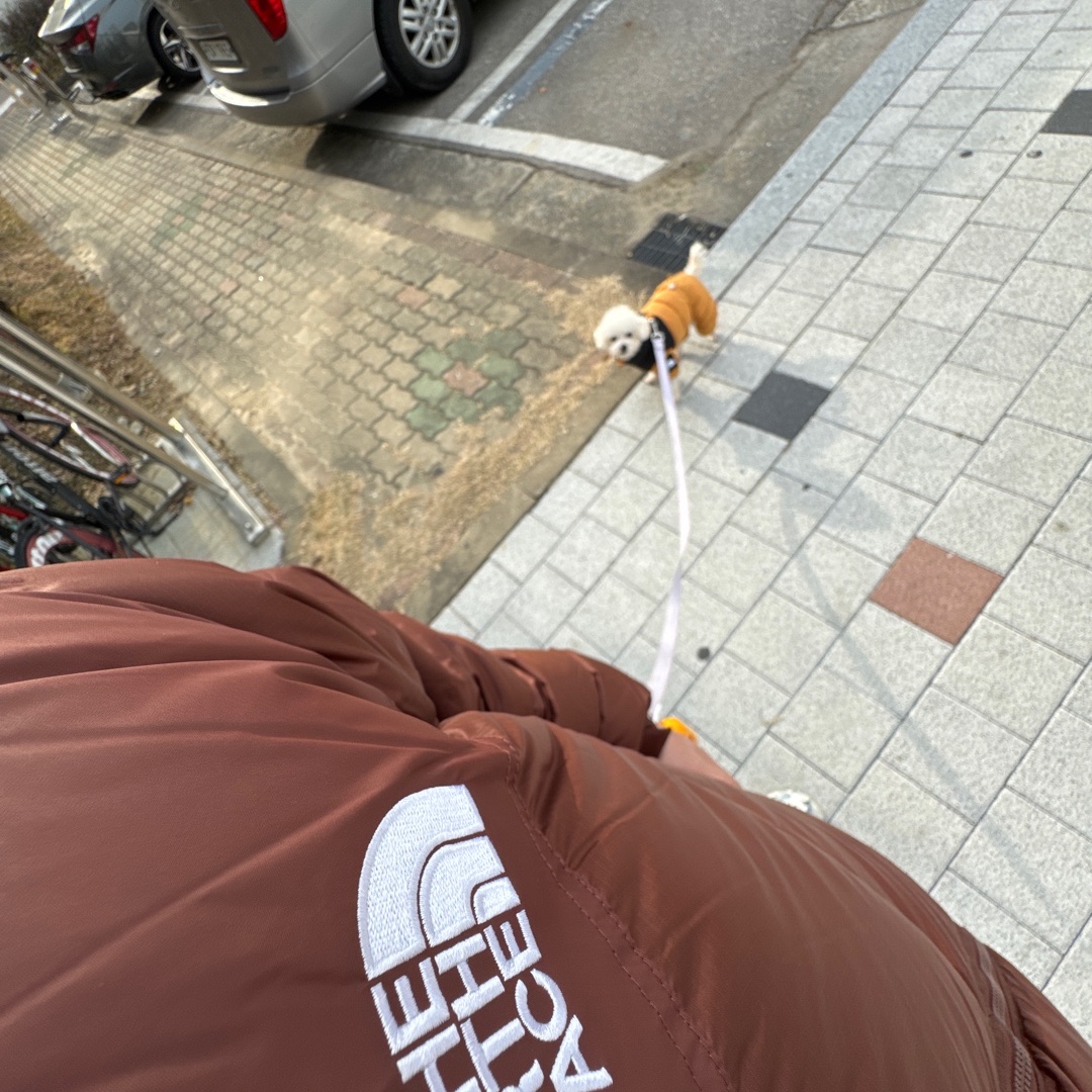 The North Face 1996 Eco Nuptse Jacket Brown 착용 스타일